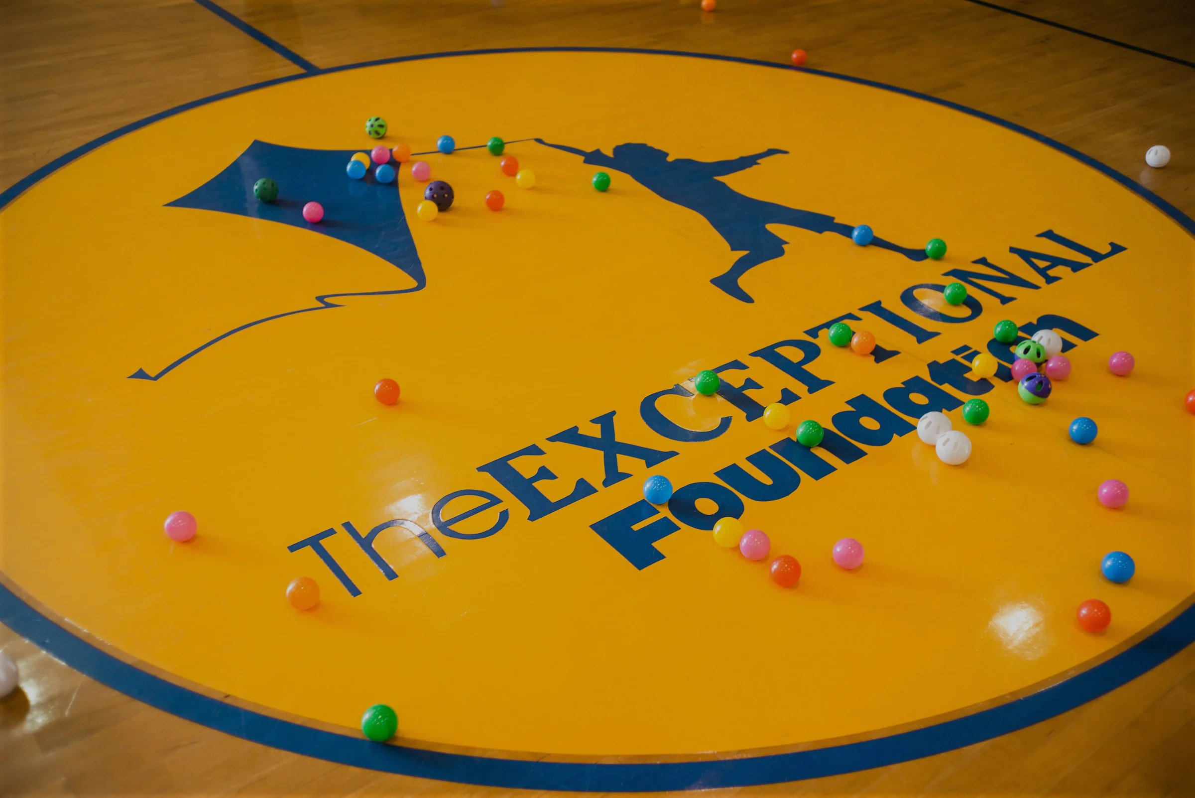 04_Exercise-&-Hungry-Hippos---010.jpg