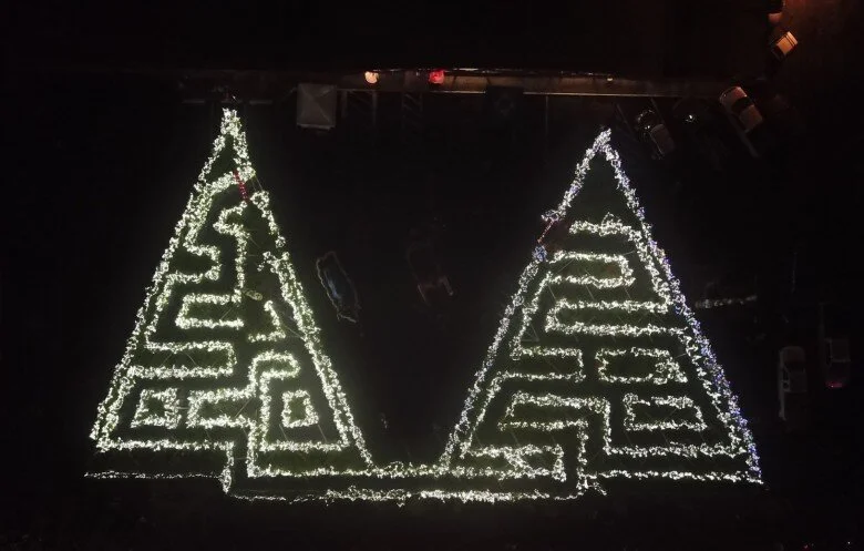 Congratulations! 797 trees sets the Guinness World Record