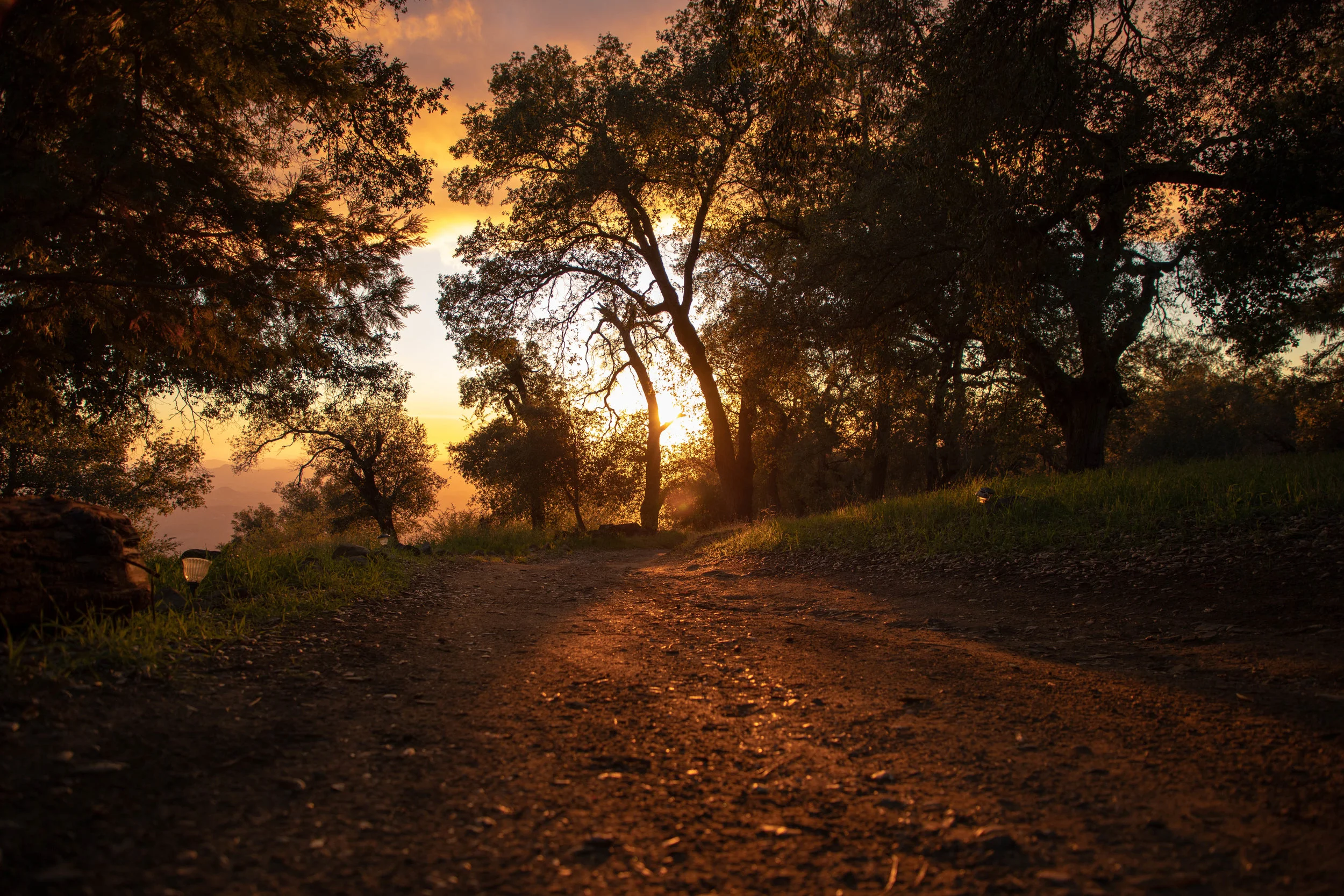 Palomar.jpg