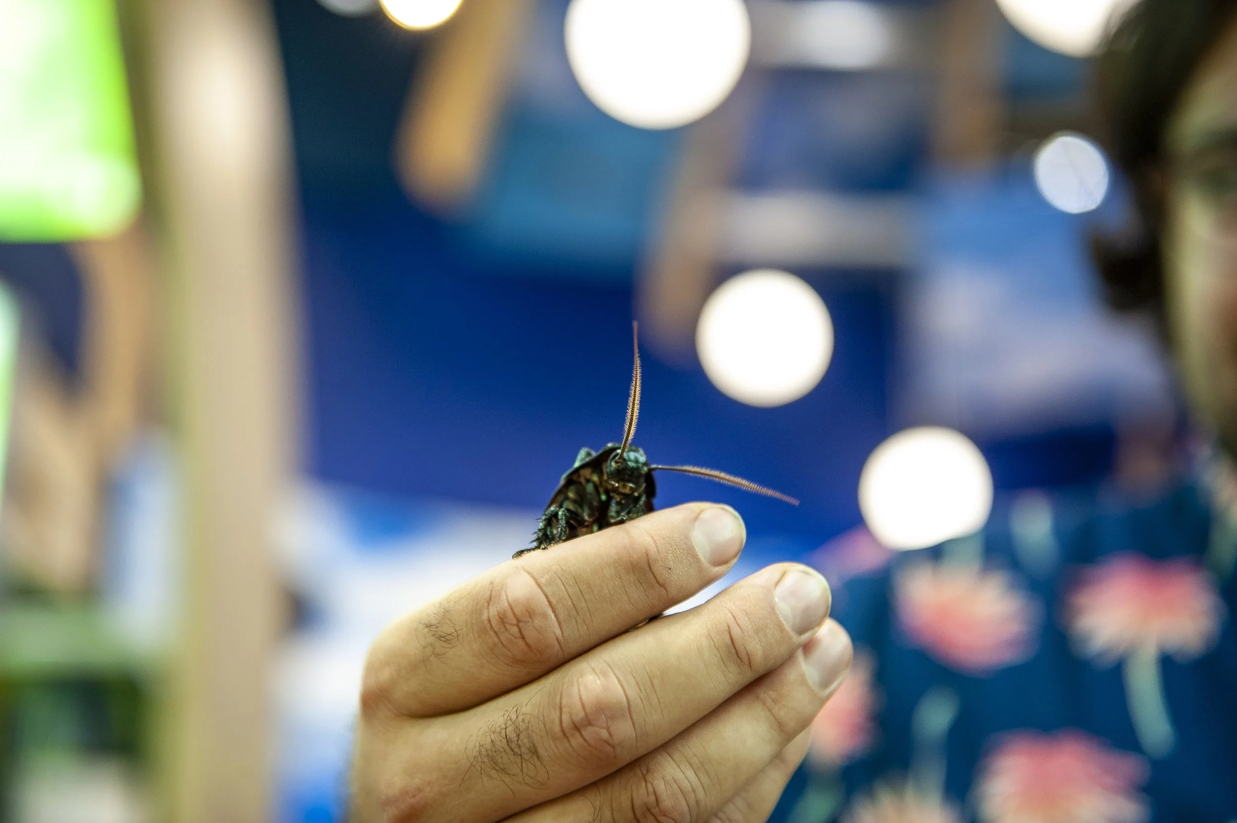 website story coco.jpg