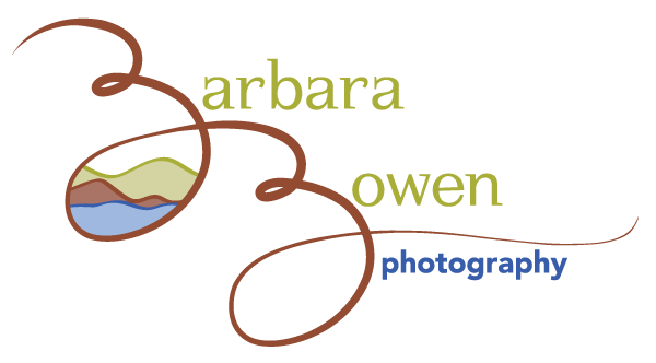 Barbara Bowen Photography