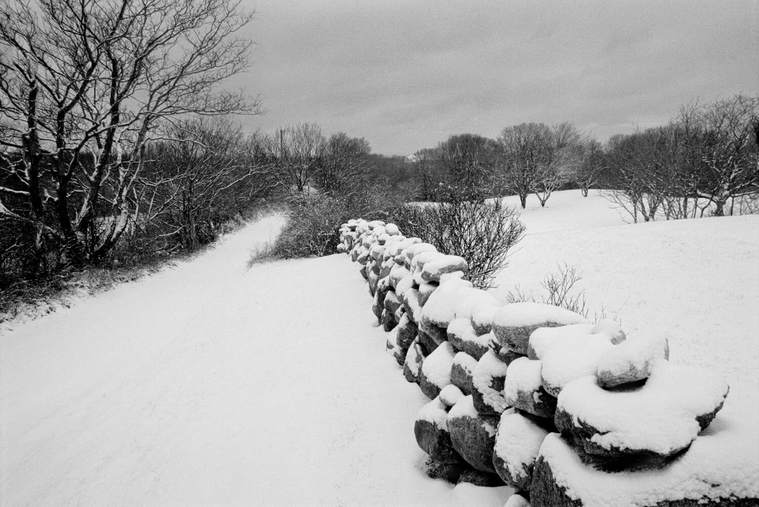 Winterscape