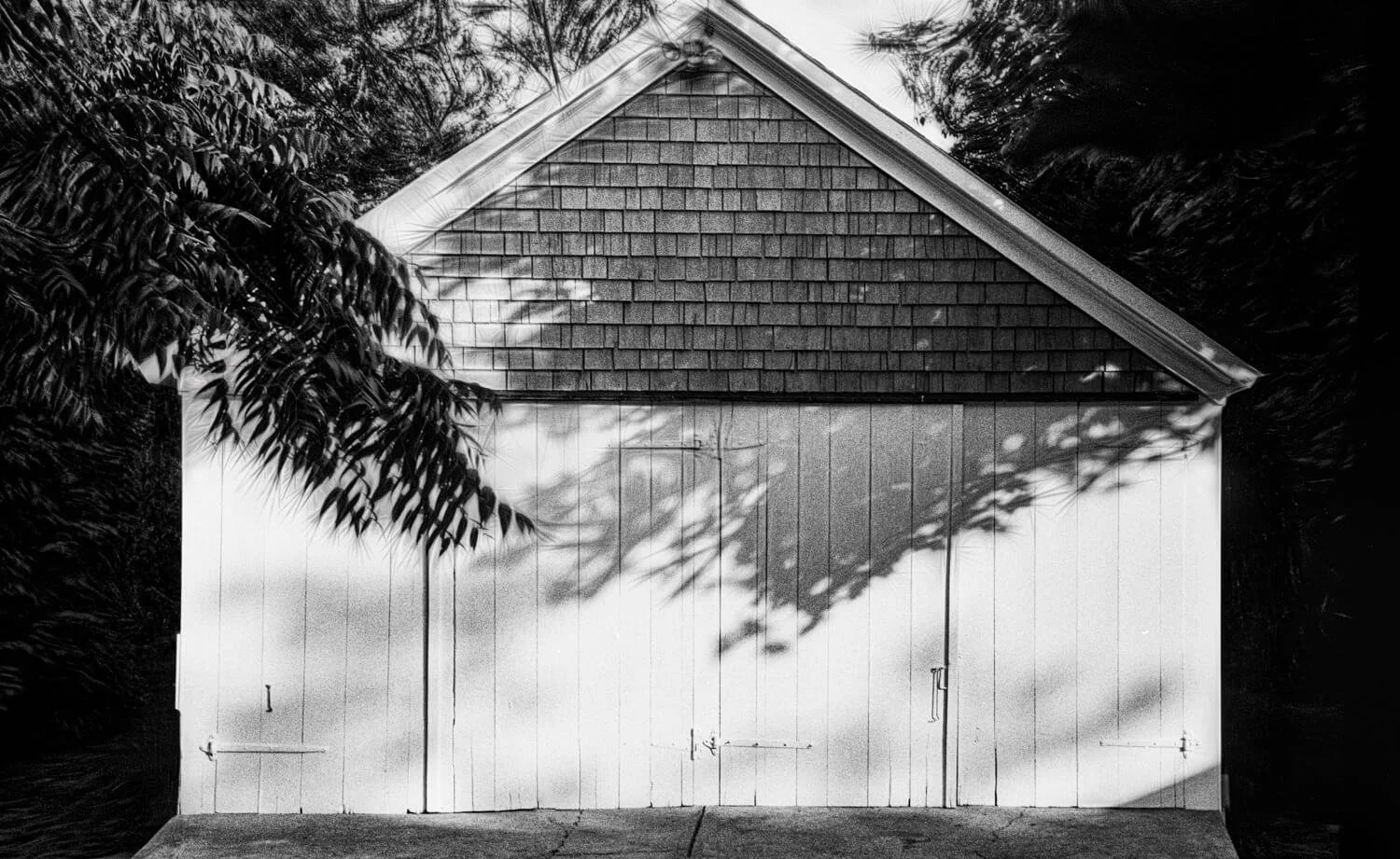 Shadow Play