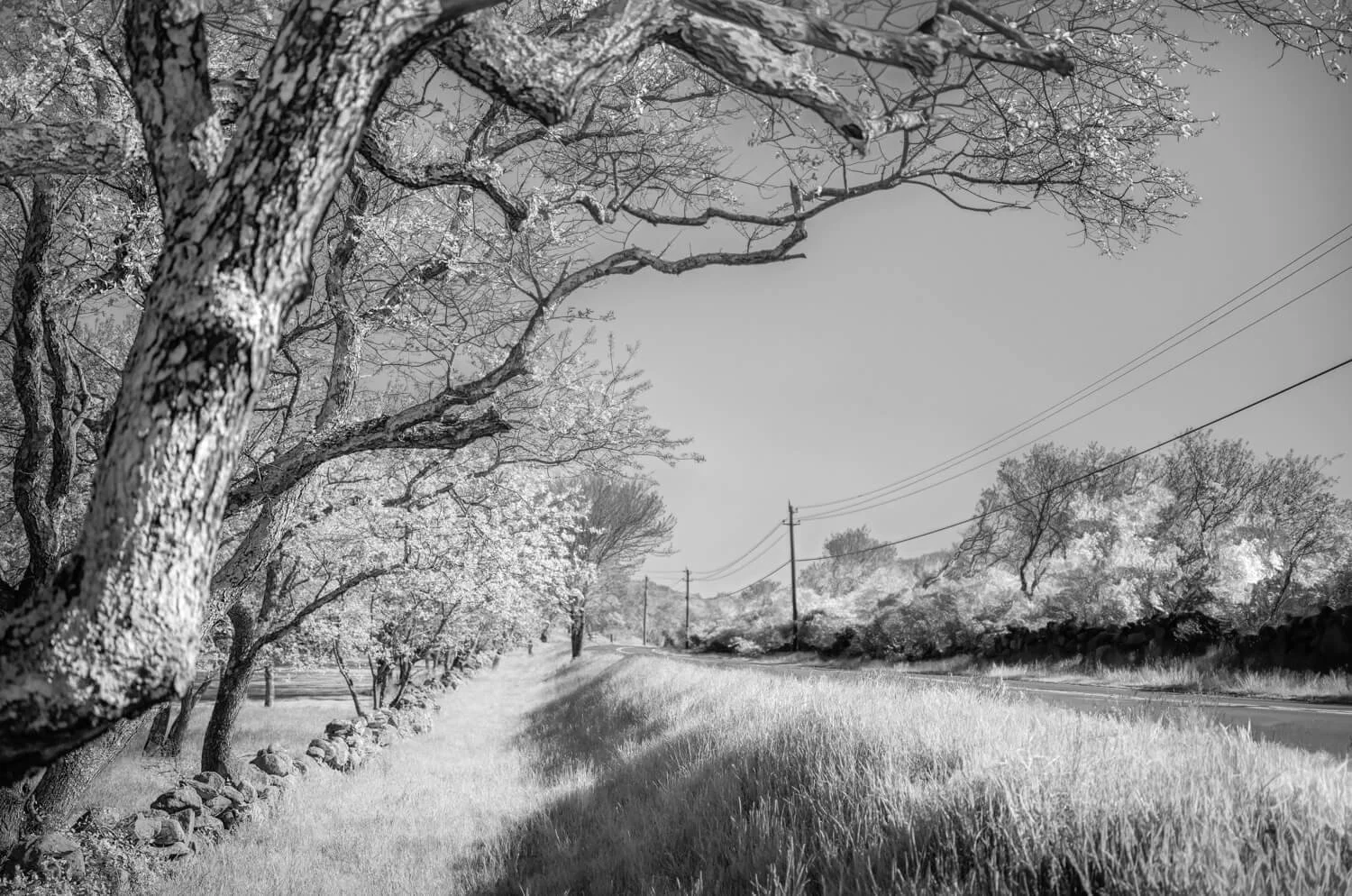 Cooneymus Road