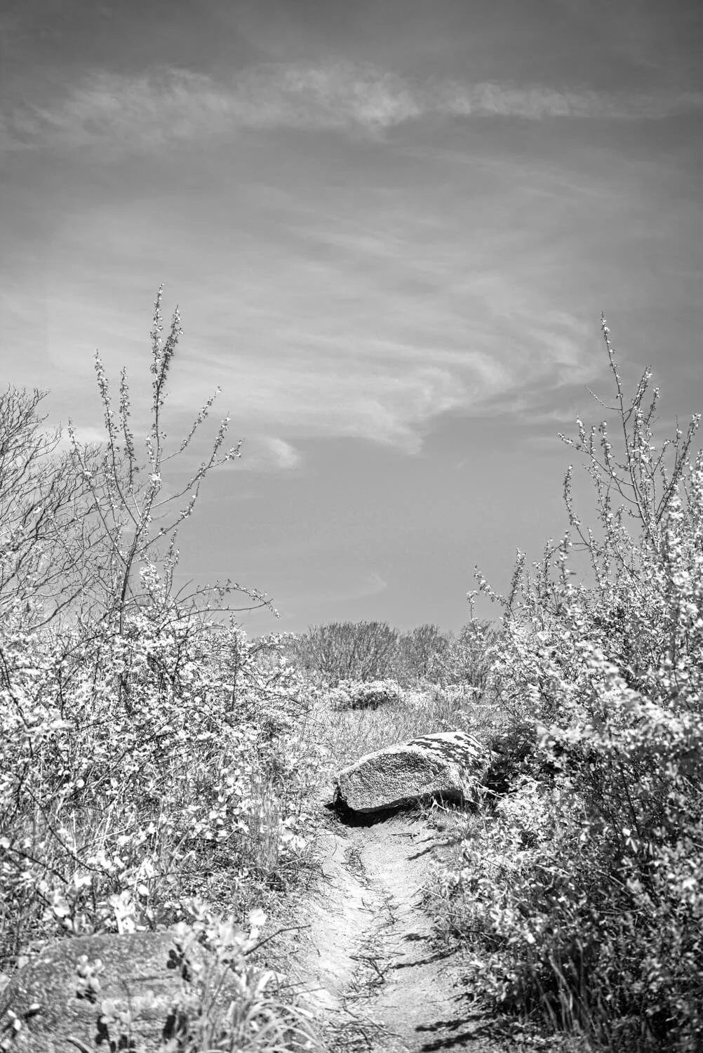 Rock at Clayhead