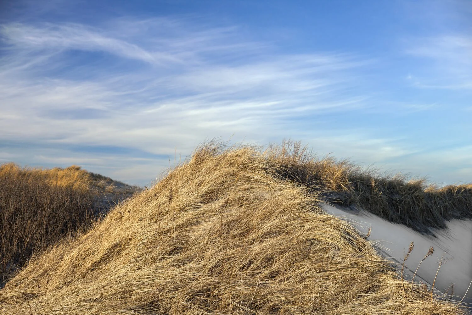 Sea Dune IV