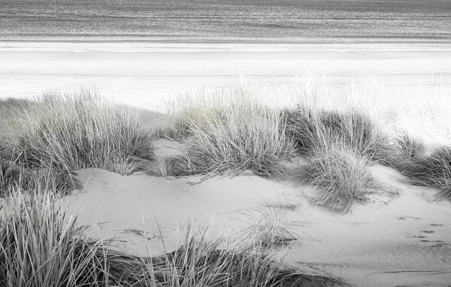 Soft Light II