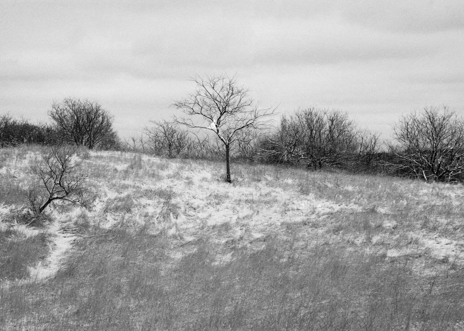 Survivor on Coast Guard Road