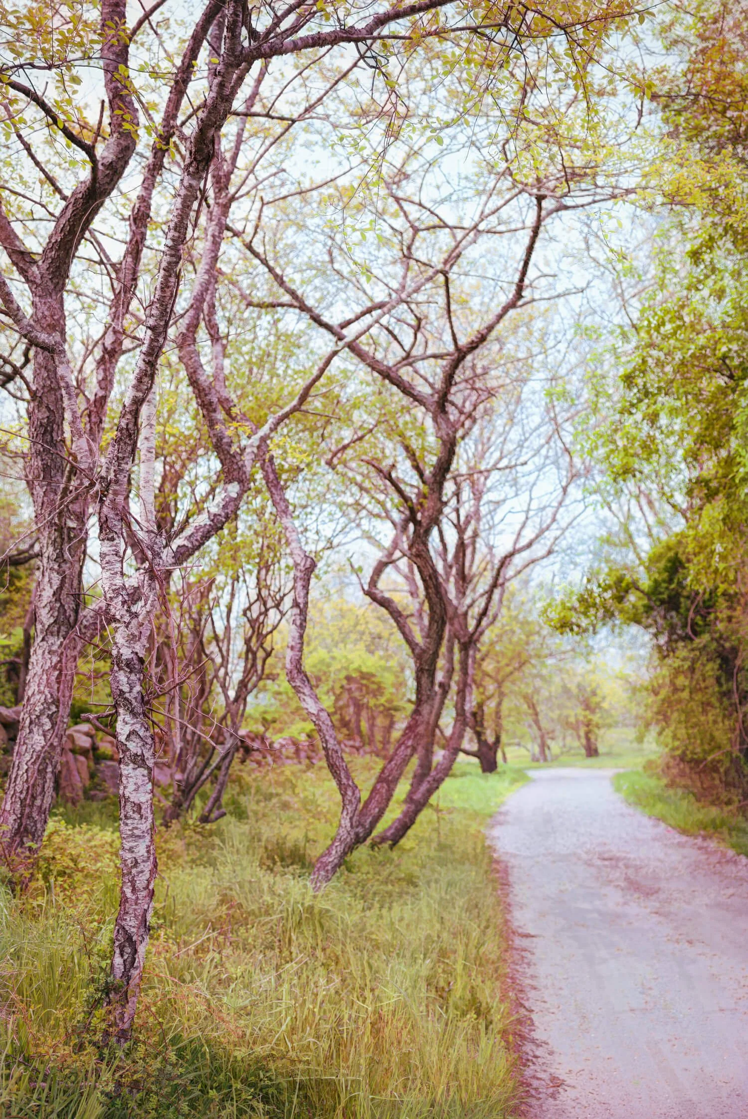 1500x_barbara_bowen_2022_L09.jpg