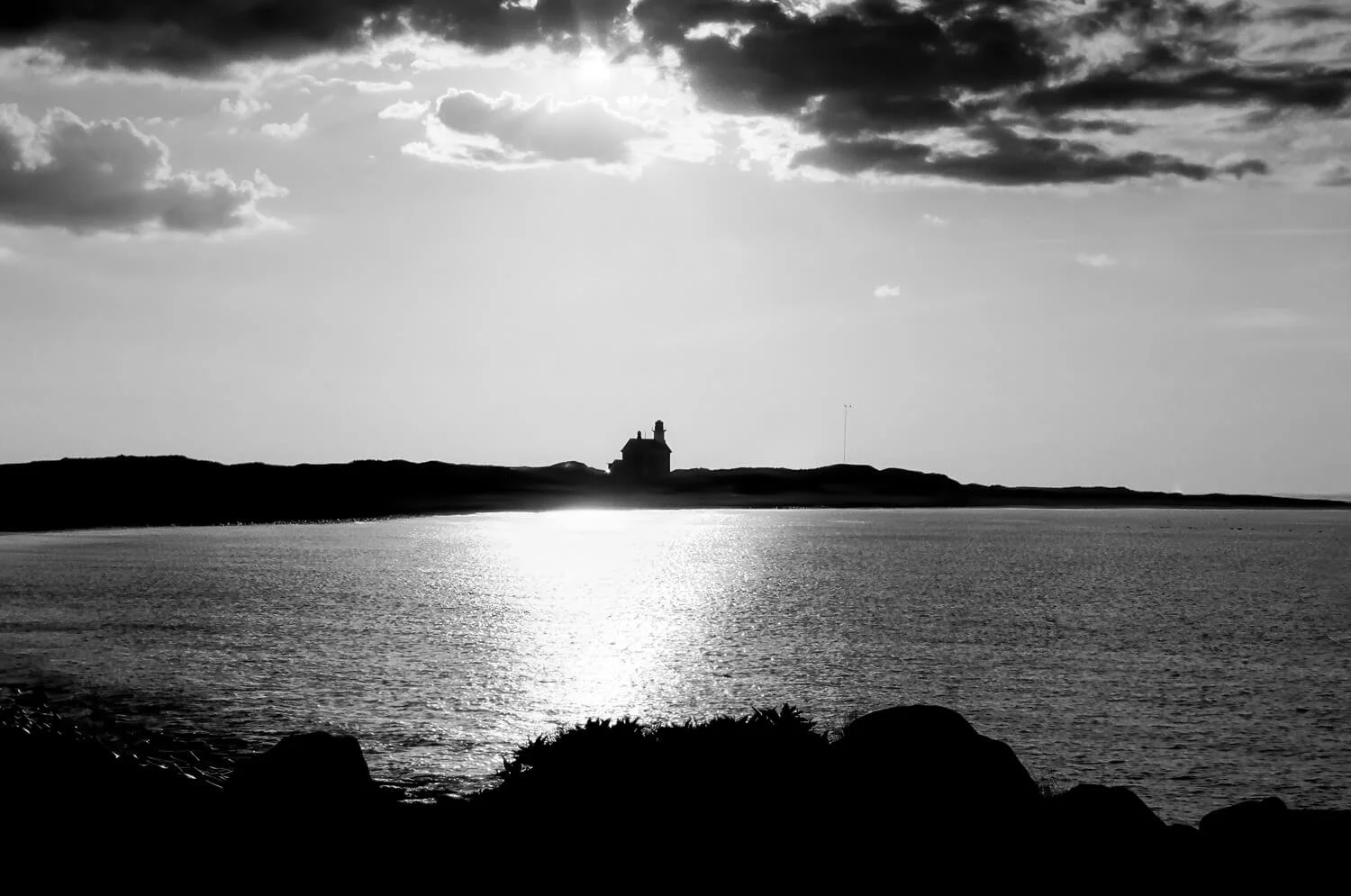 1500x_bw.barbara_bowen_2010_m26.jpg