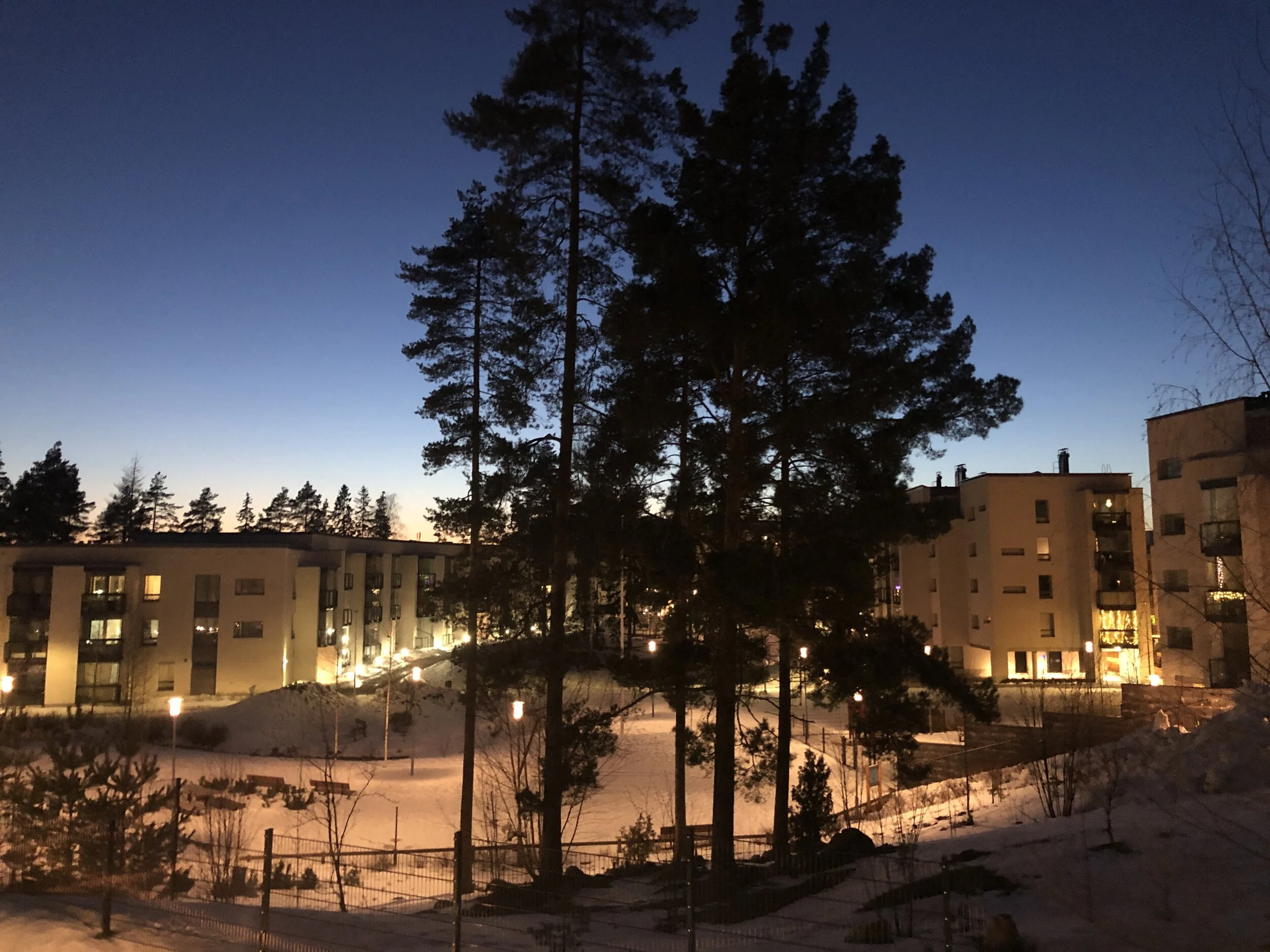 Spring 2021 Newsletter