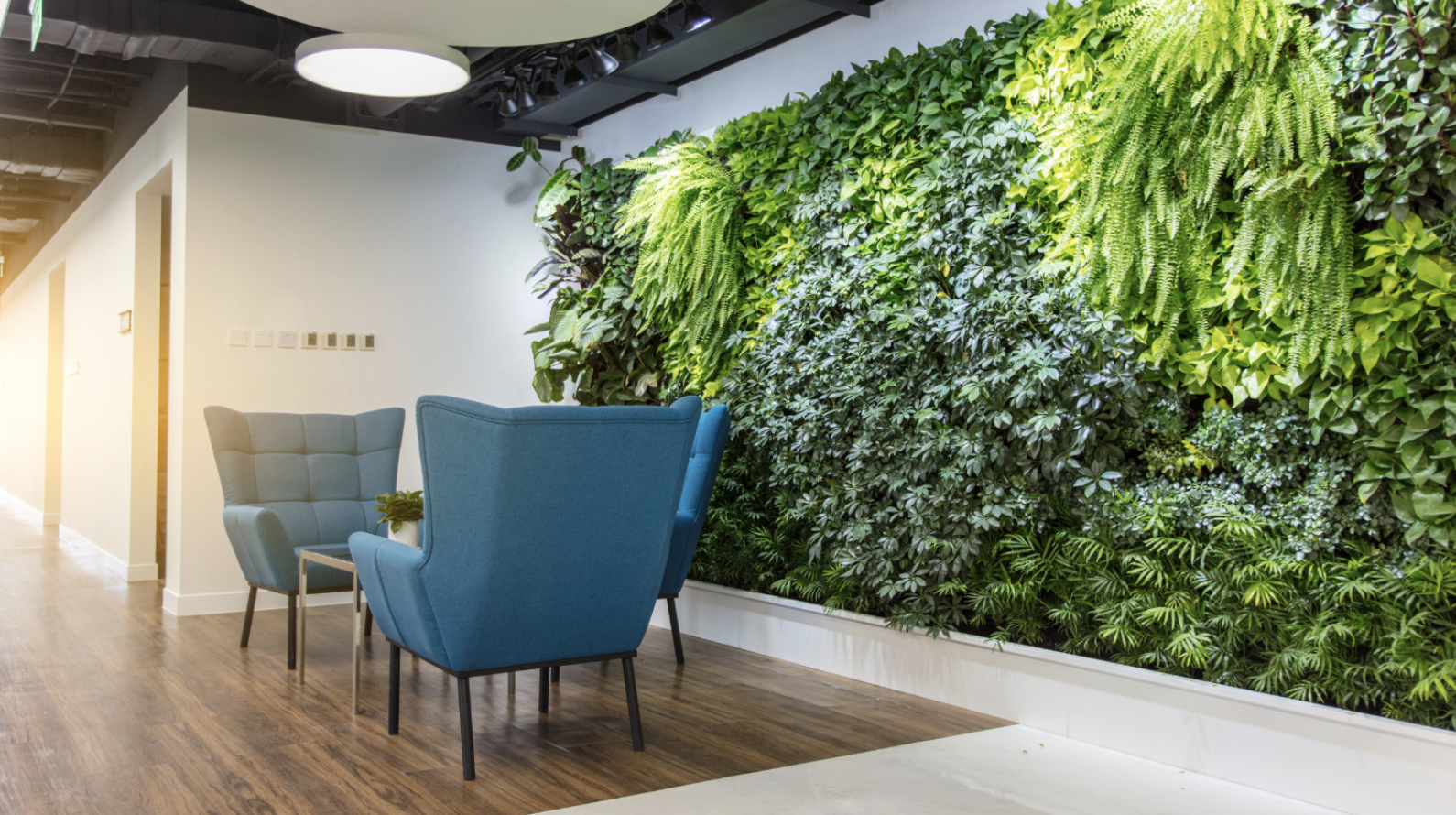 WELL Building Standard: An Overview