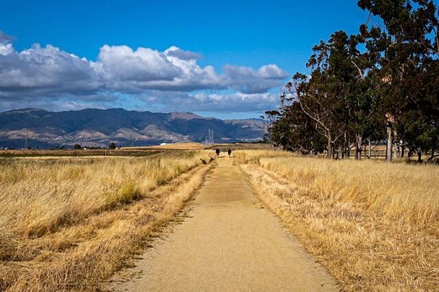 Literally ran from the parking lot to take this picture of these two people walking down this path. It&rsquo;s been hard to find motivation during this difficult time but recently I&rsquo;ve spent time finding inspiration in the details of my photogr