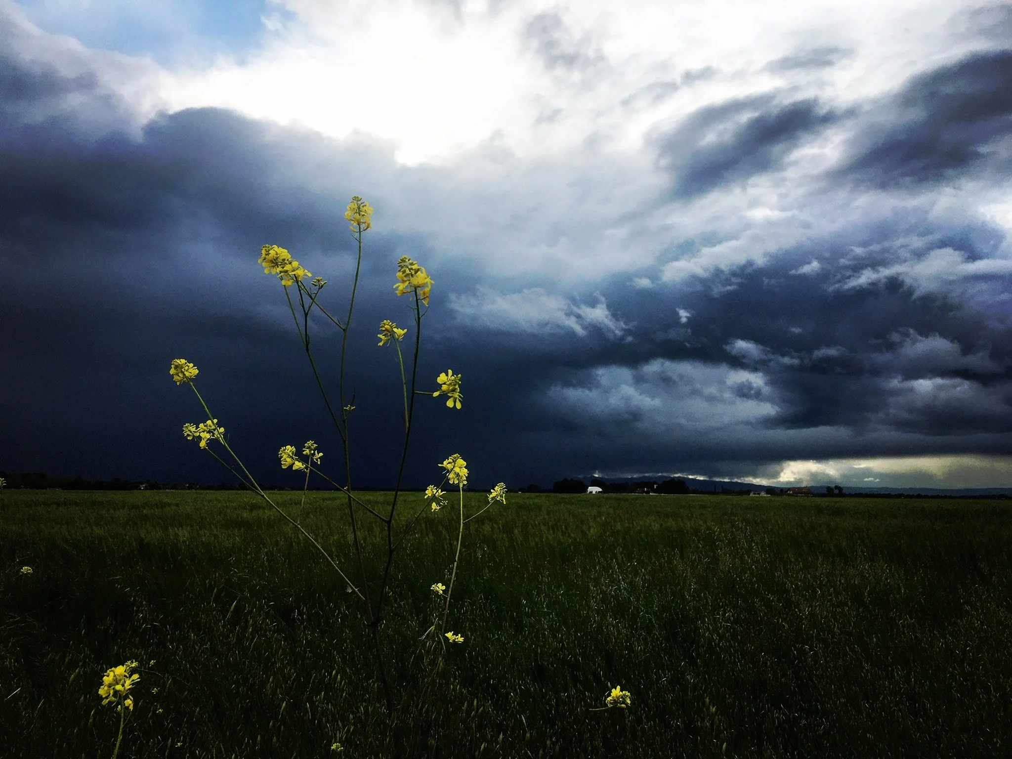 Psicoterapia individuale - Trauma & PTSD