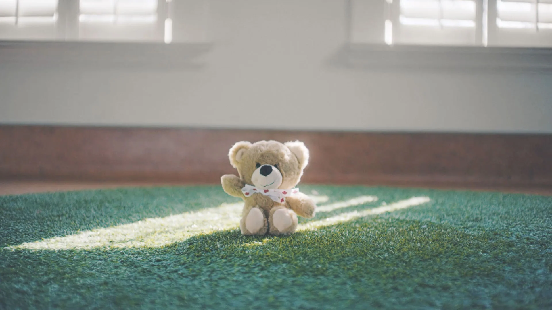 bear sitting.jpg