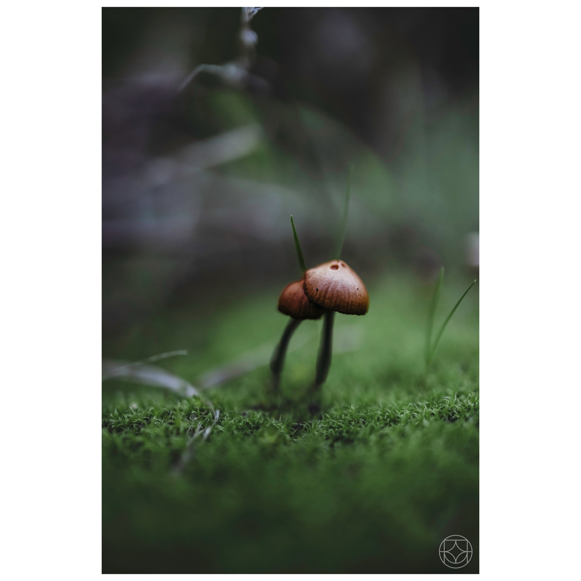 IMG_1818.jpeg