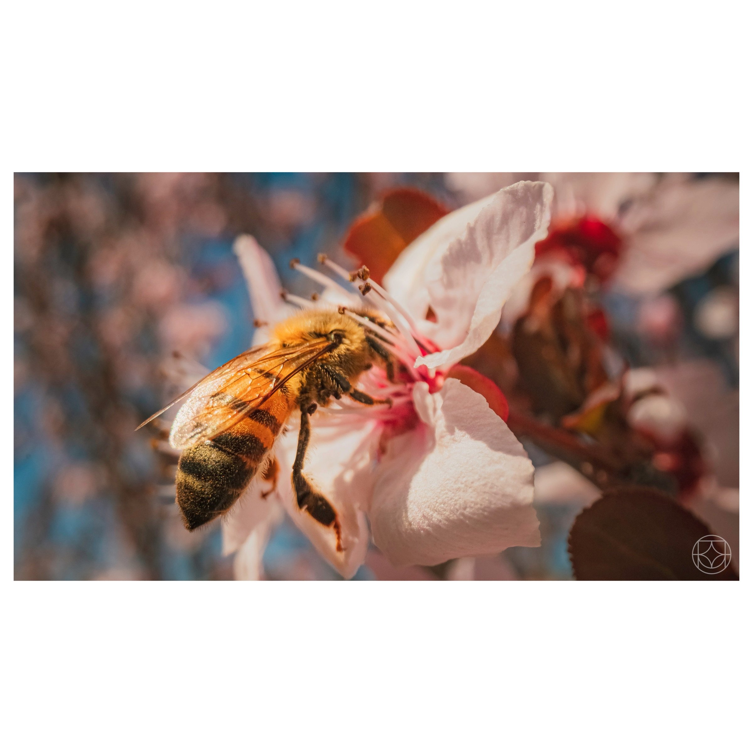 IMG_5953.jpeg