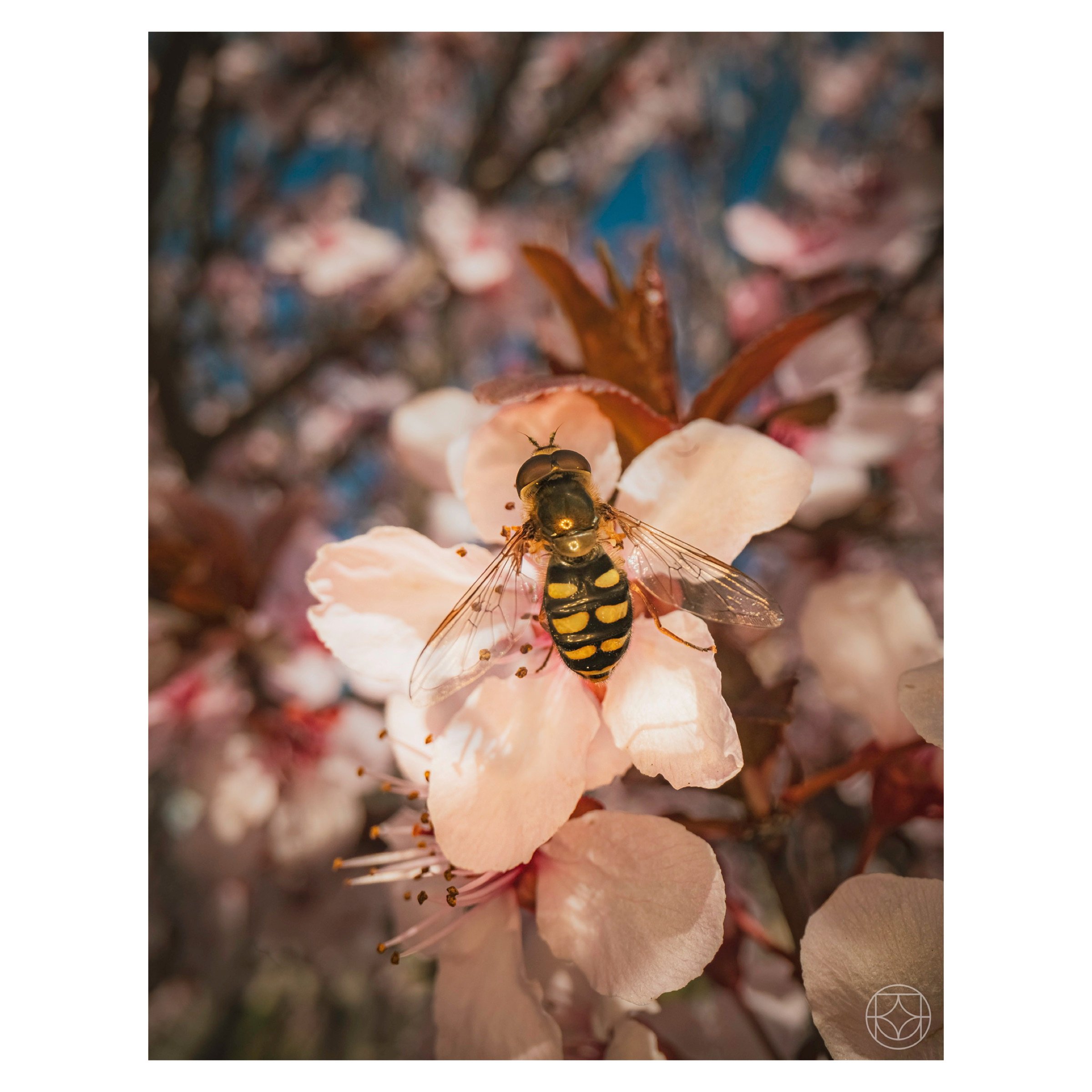 IMG_5947.jpeg