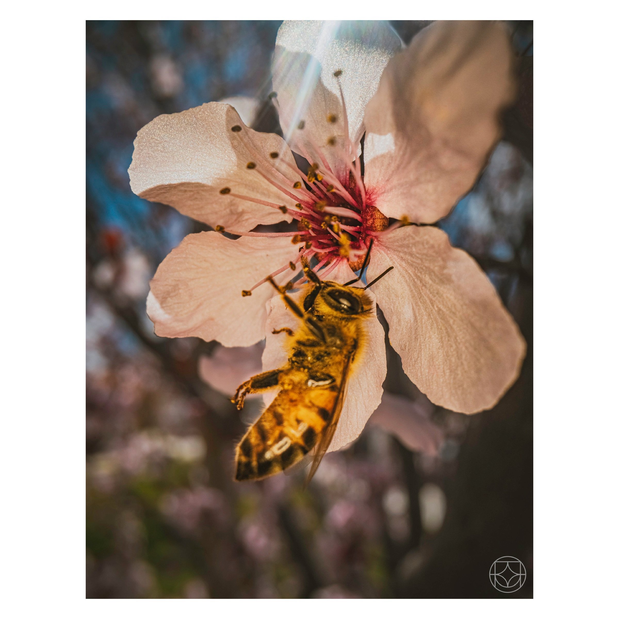 IMG_5930.jpeg