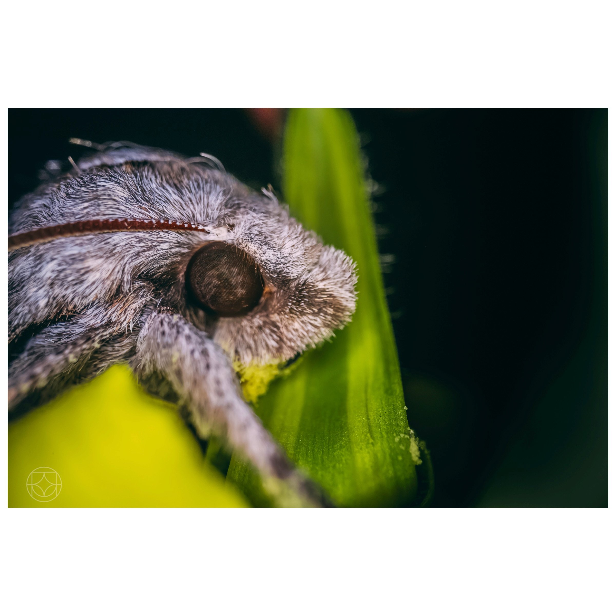 IMG_0084.jpeg