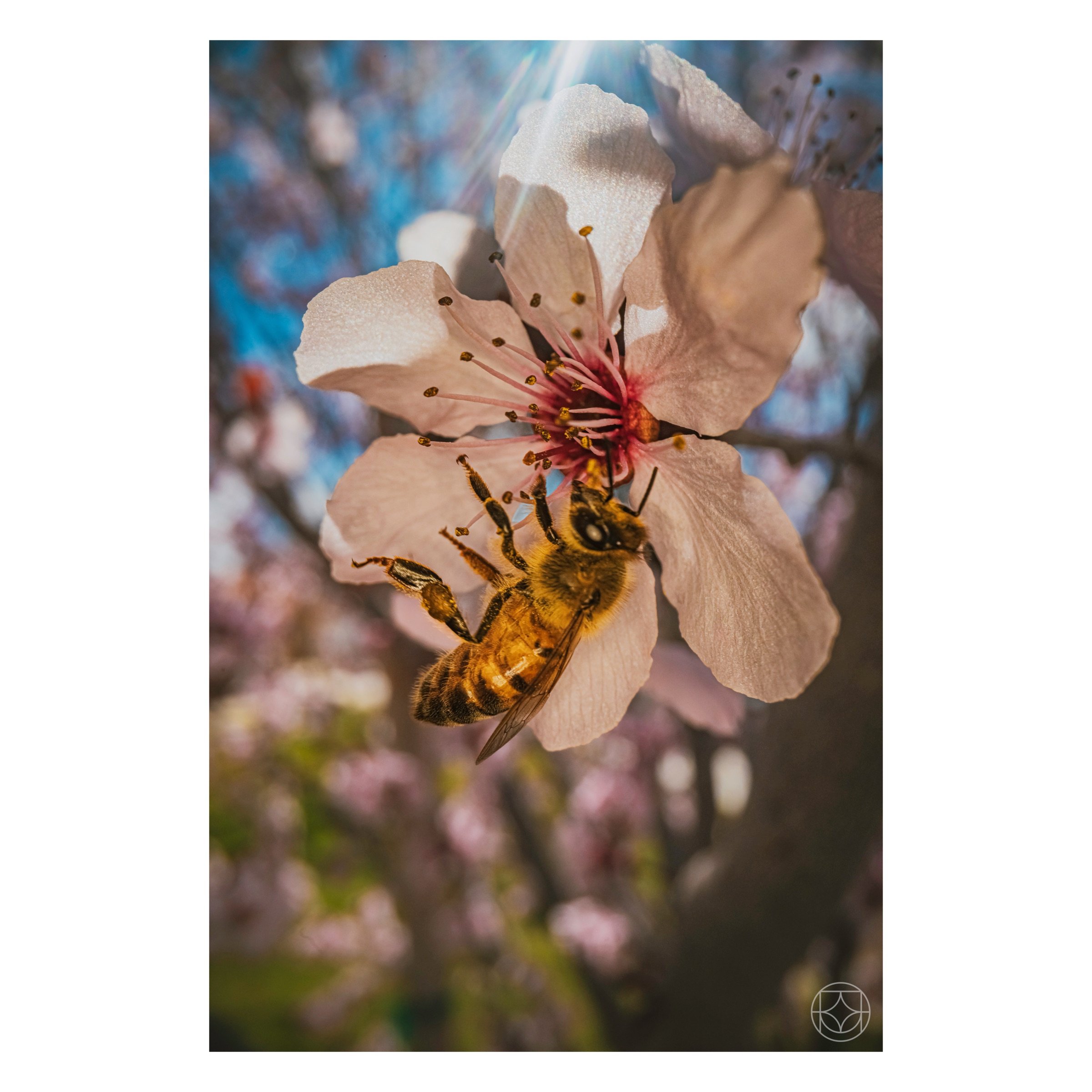 IMG_5929.jpeg