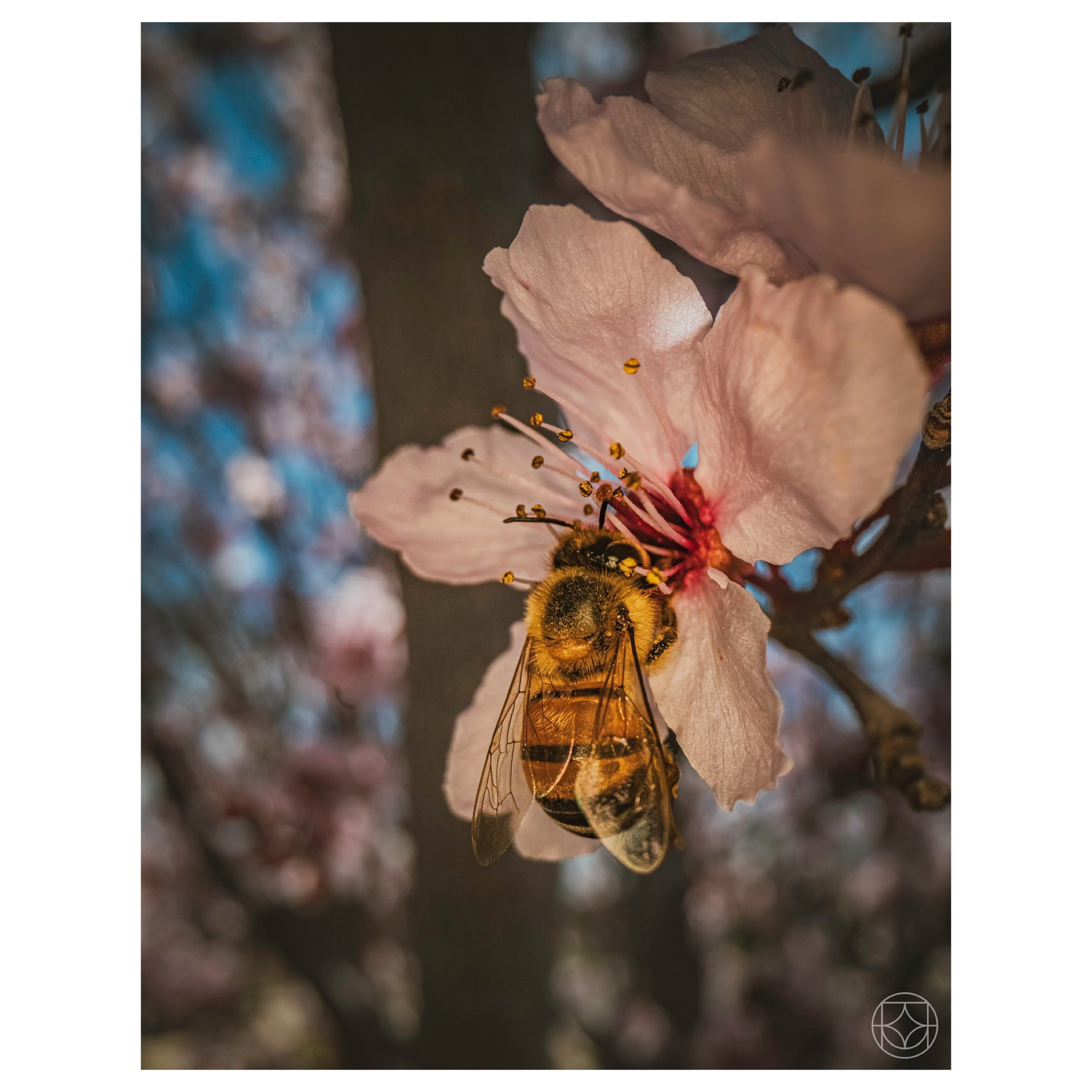 IMG_5933.jpeg