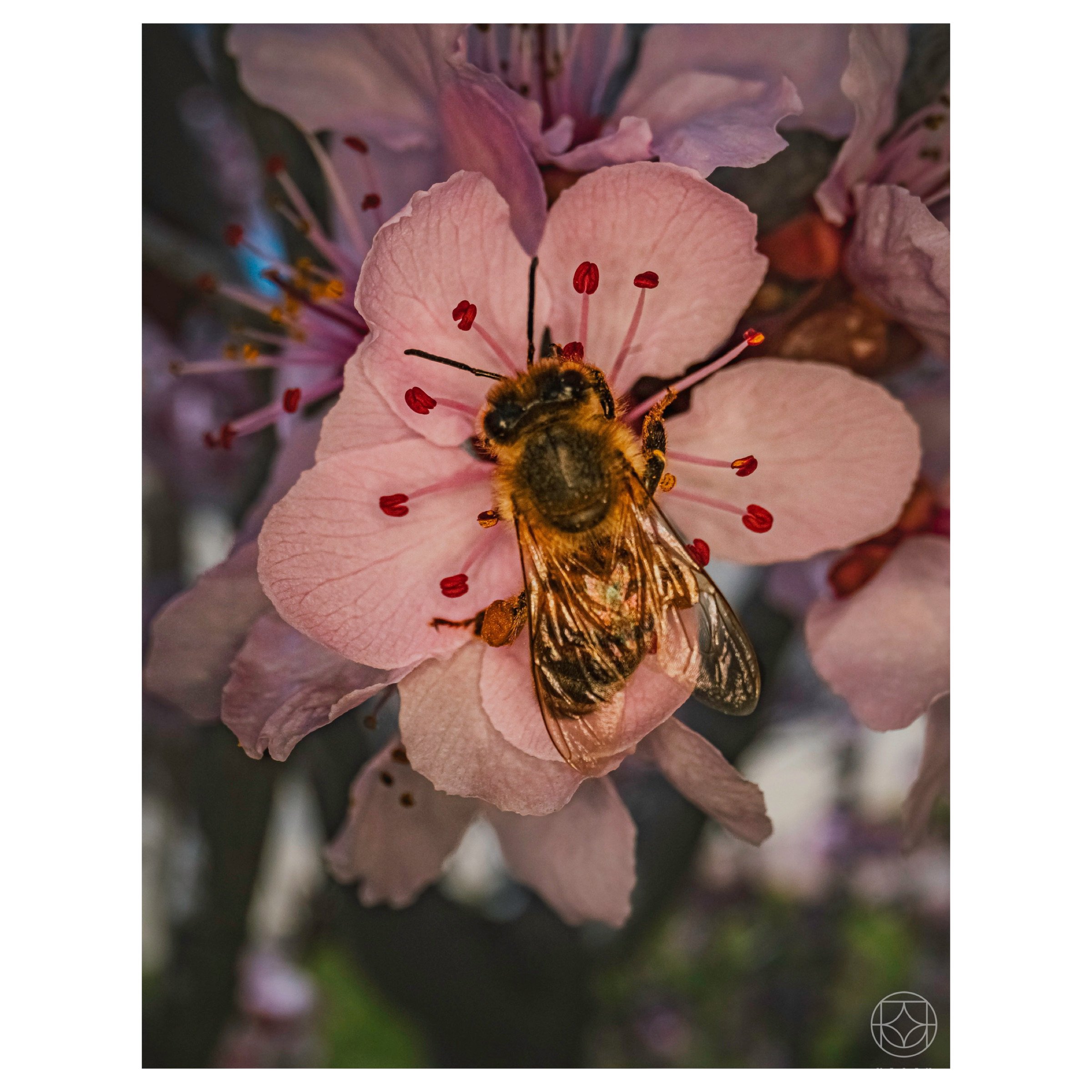 IMG_5938.jpeg