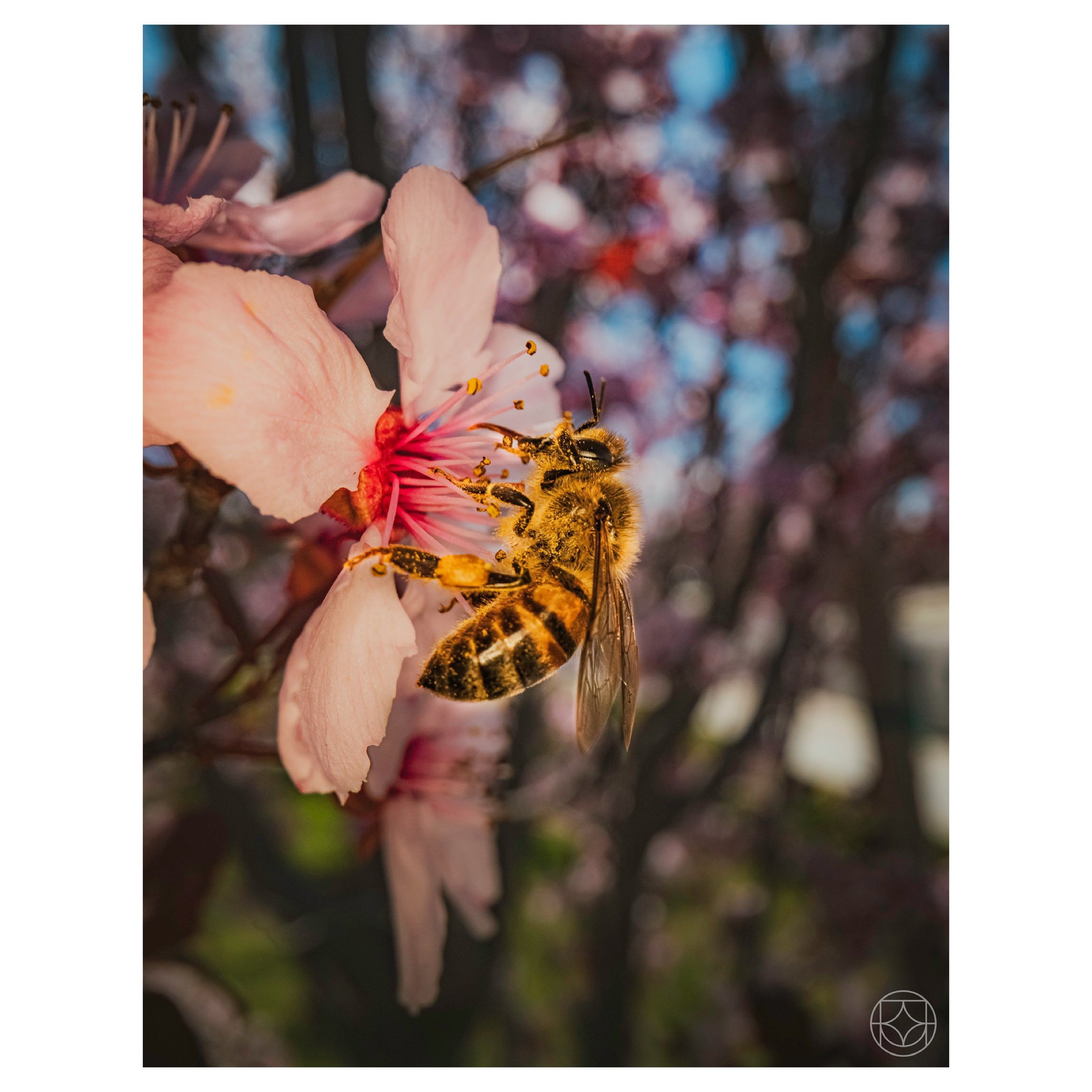IMG_5942.jpeg