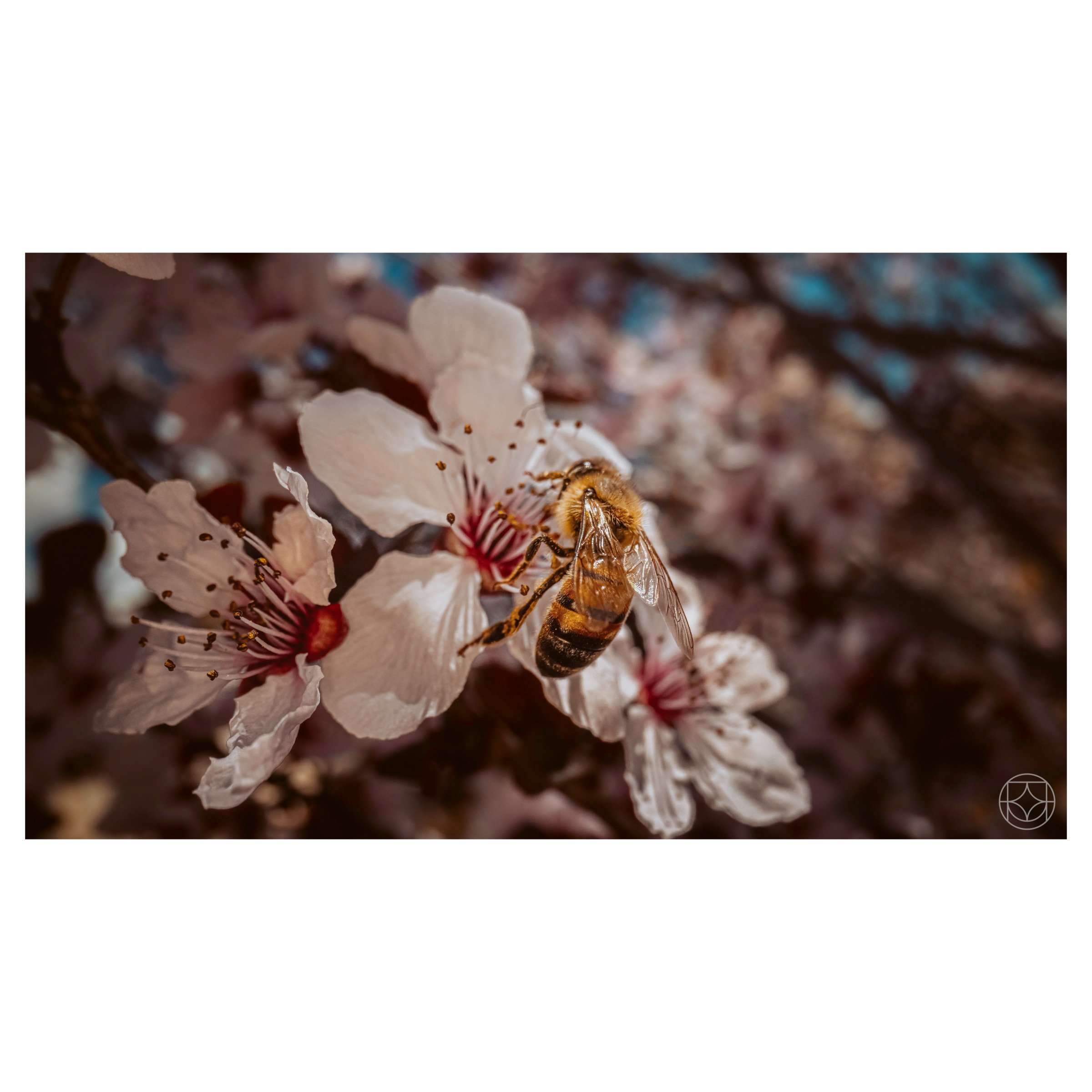 IMG_5934.jpeg