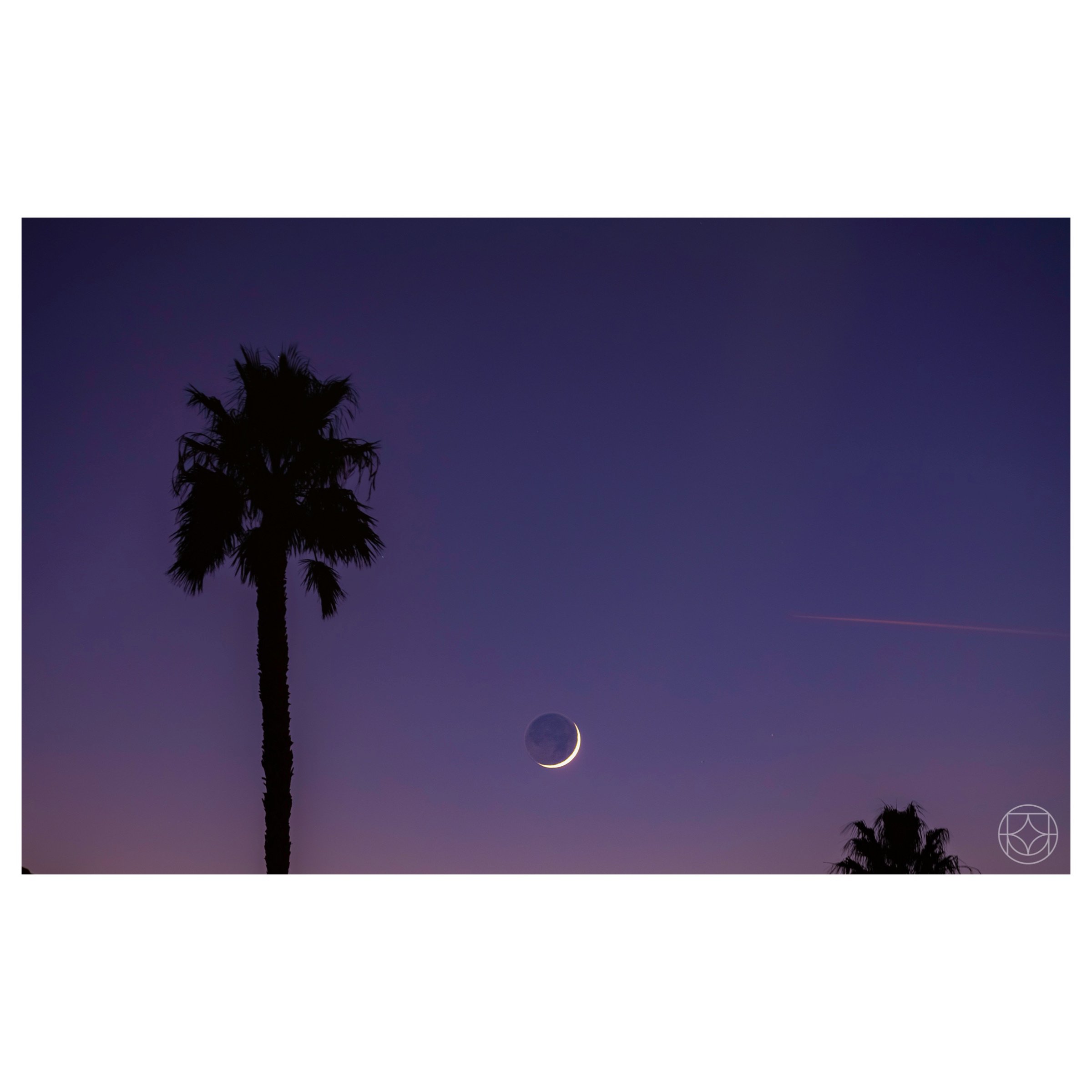 IMG_3650.jpeg