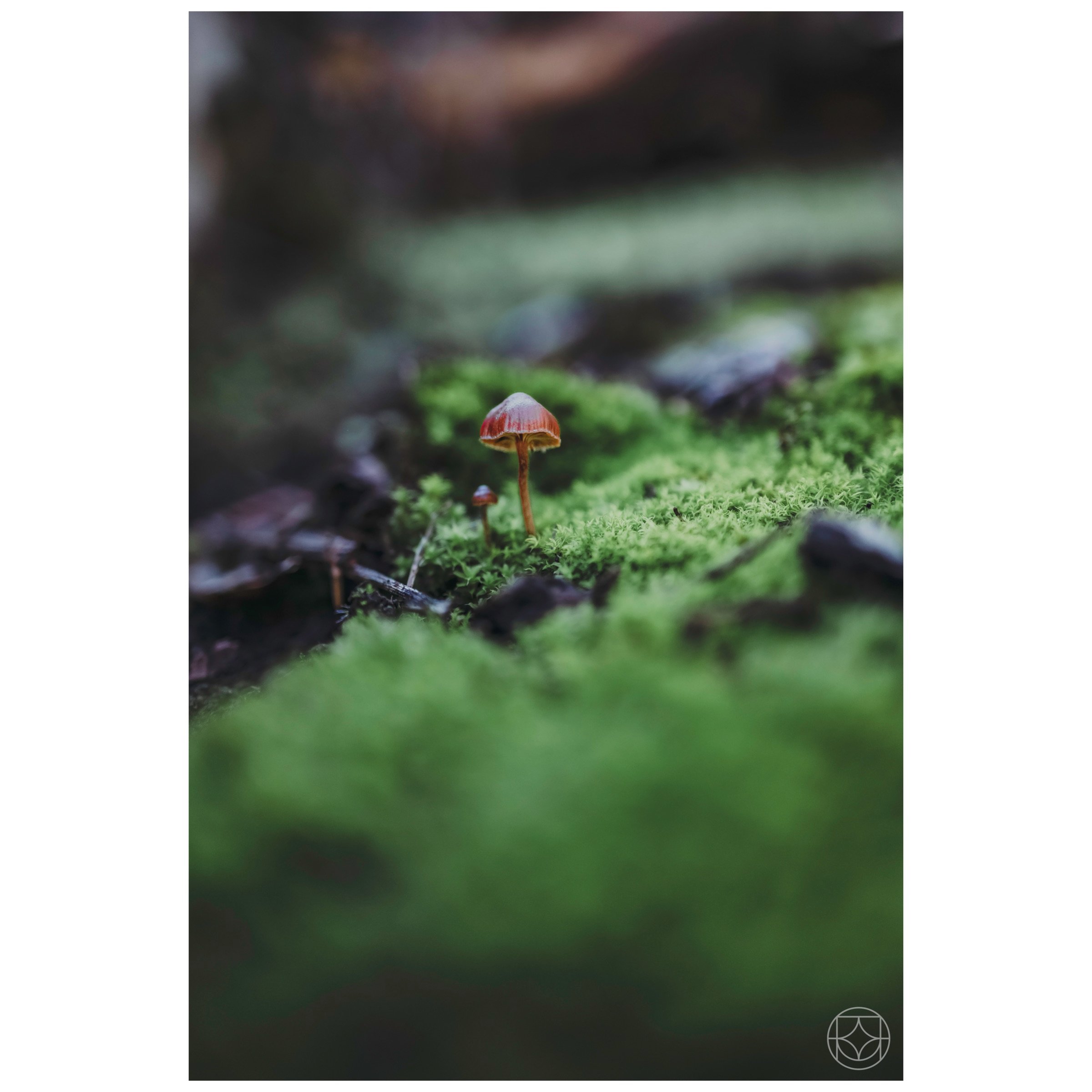 IMG_1844.jpeg
