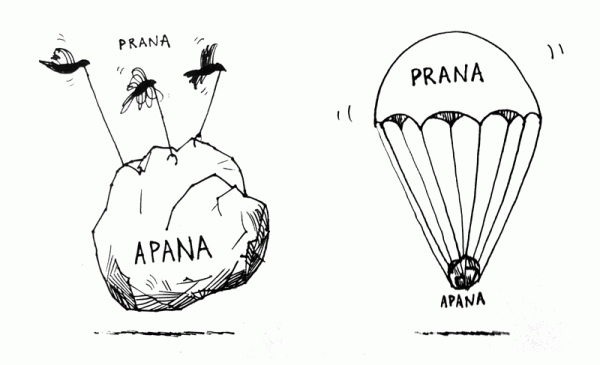 Breathing in Conversation: The Internal Landscape of Vinyasa Yoga