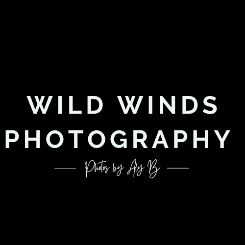 WildWindsPhotography.png