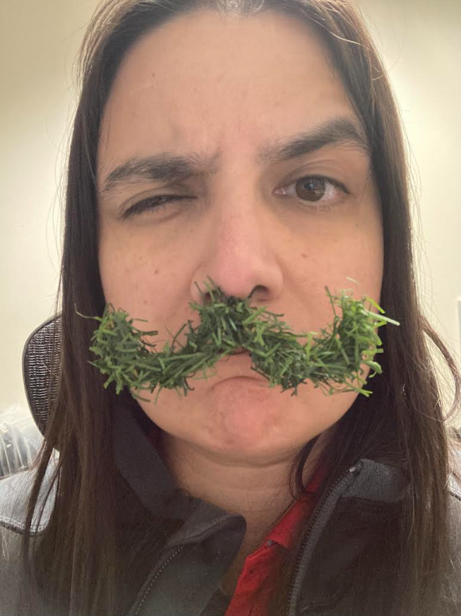 Rebecca - Volunteers