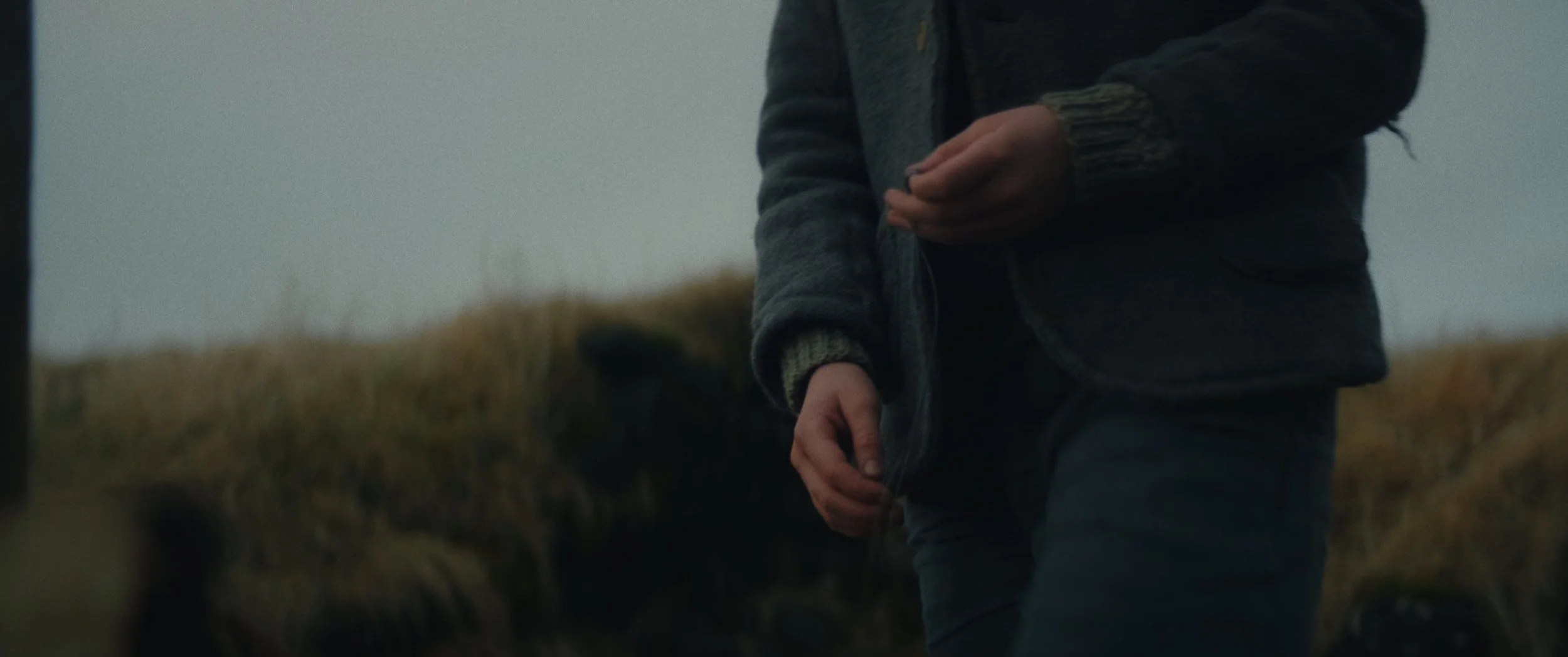 BBB_Stills_1.1.34.jpg