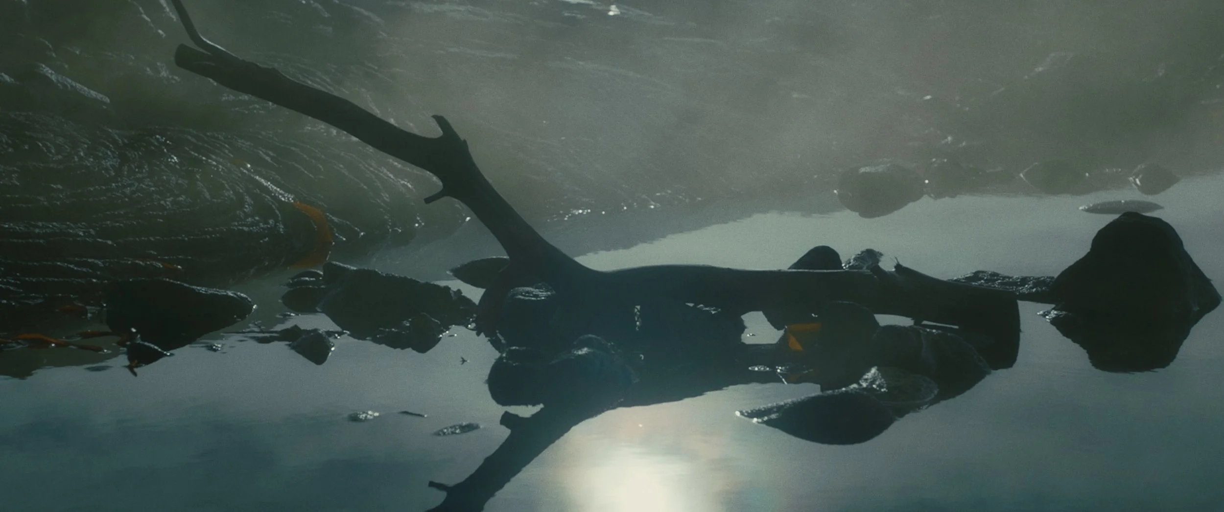 BBB_Stills_1.1.82.jpg