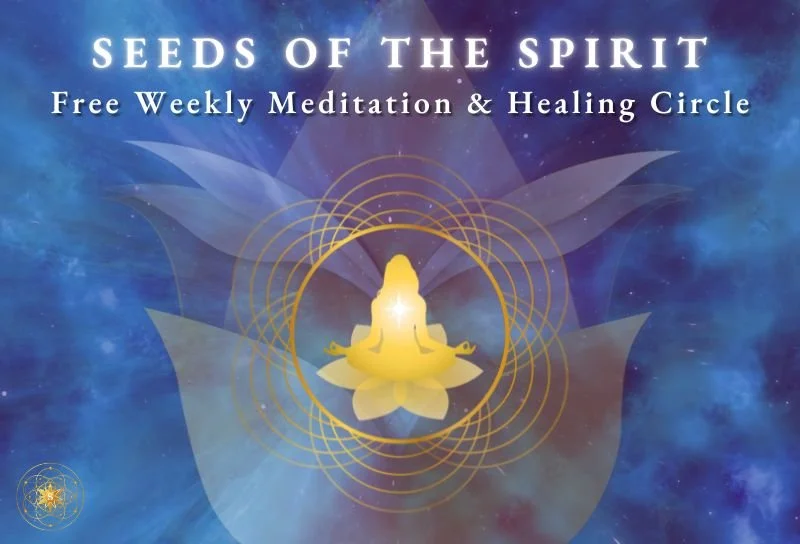 Seeds of the Spirit - The Adora Frequency Series: Evolve
