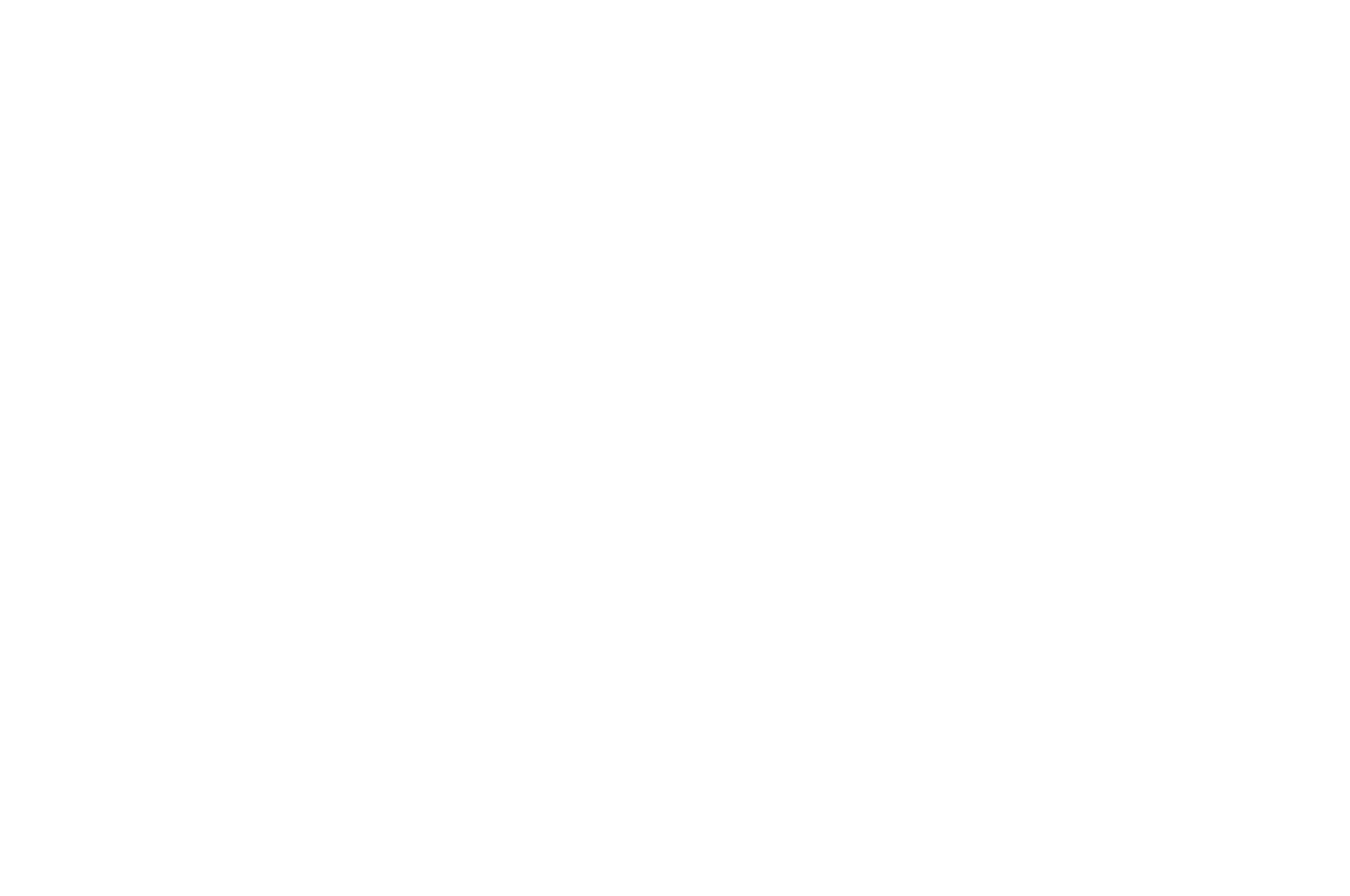 Winner - Ridgefield Independent Film Festival - Outstanding Documentary Feature (1).png