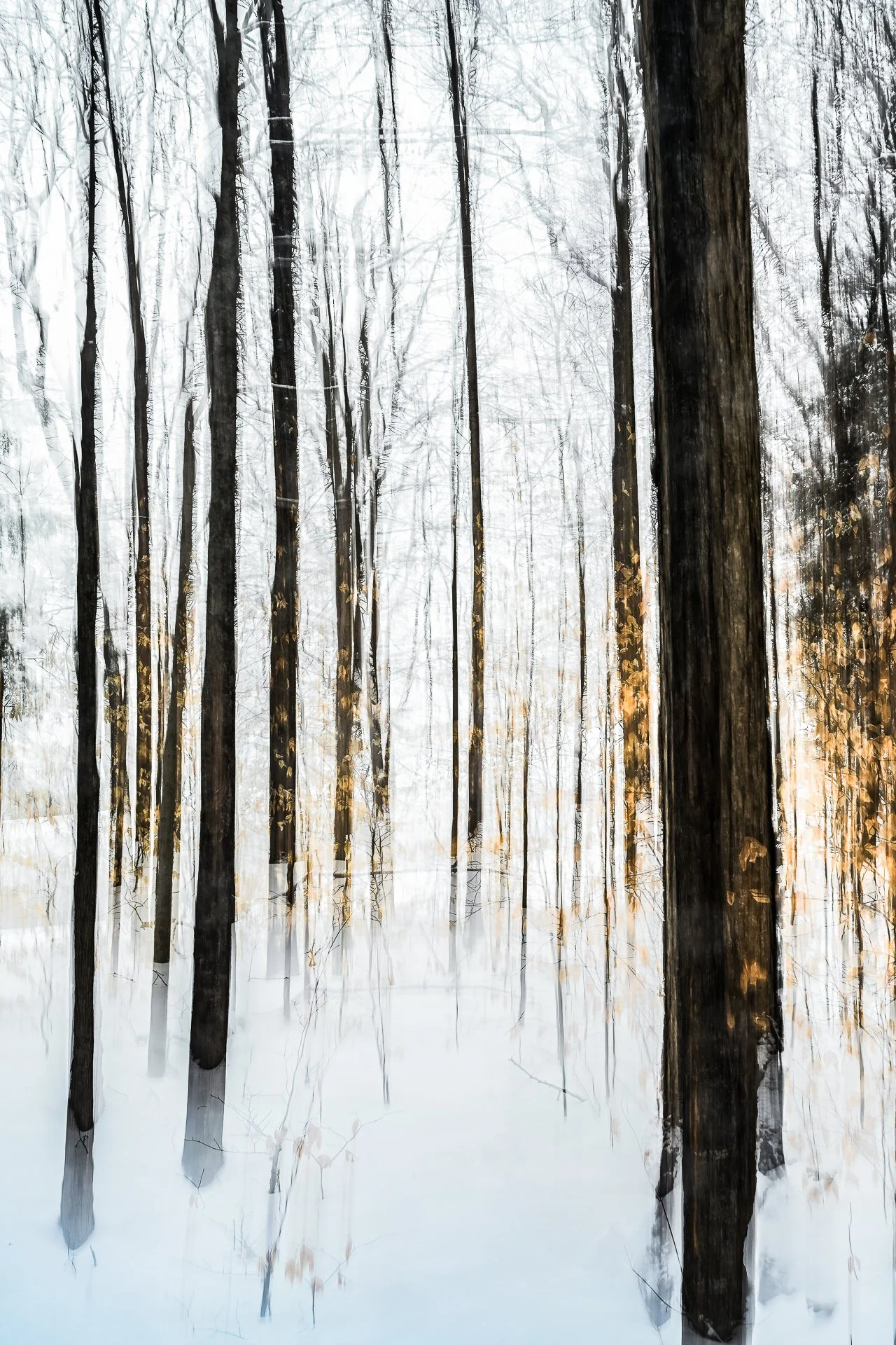 01 untitled-1526-DeNoiseAI-clear.jpg