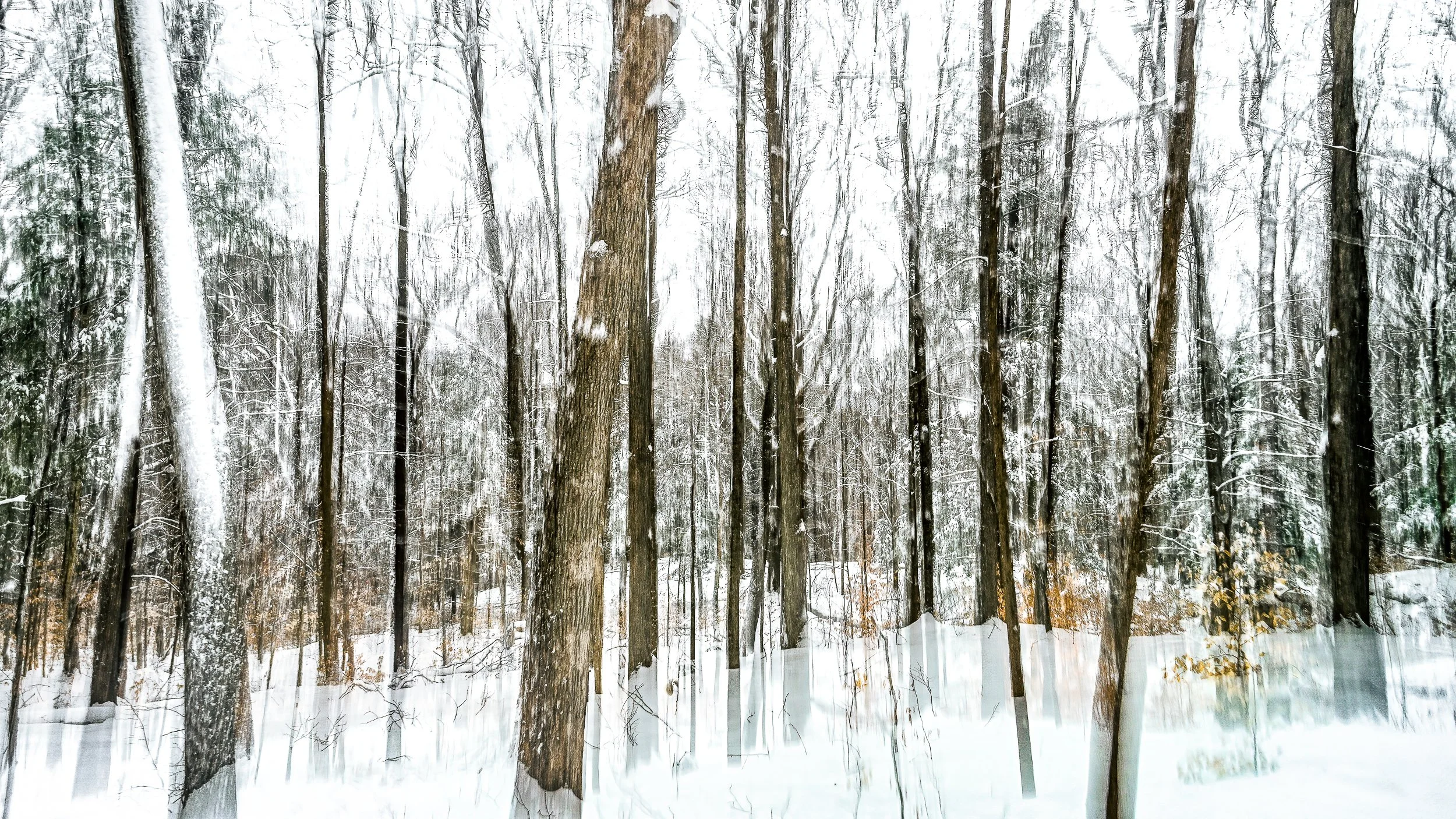 06 DSC_1222-Edit.jpg