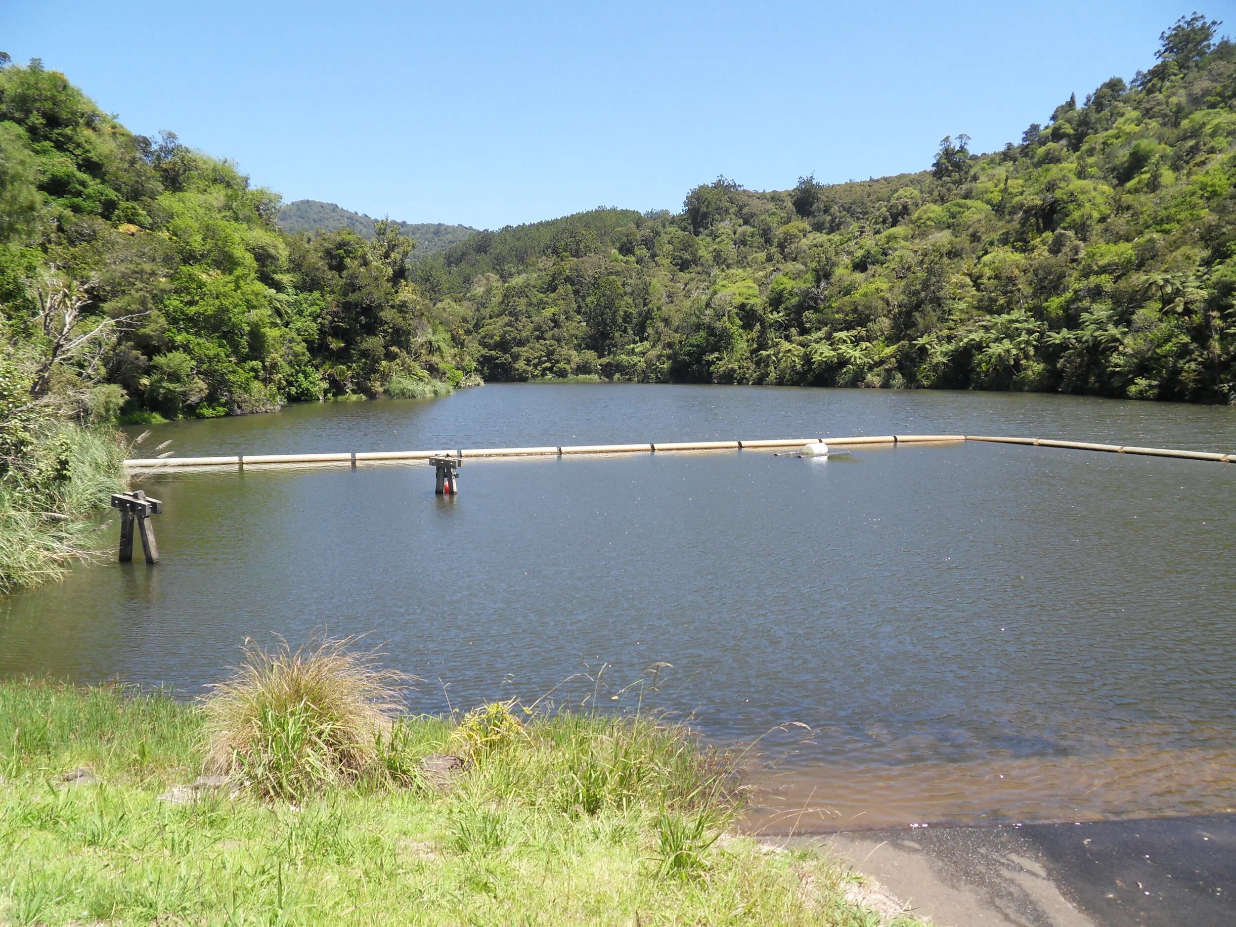 Kauri Dam