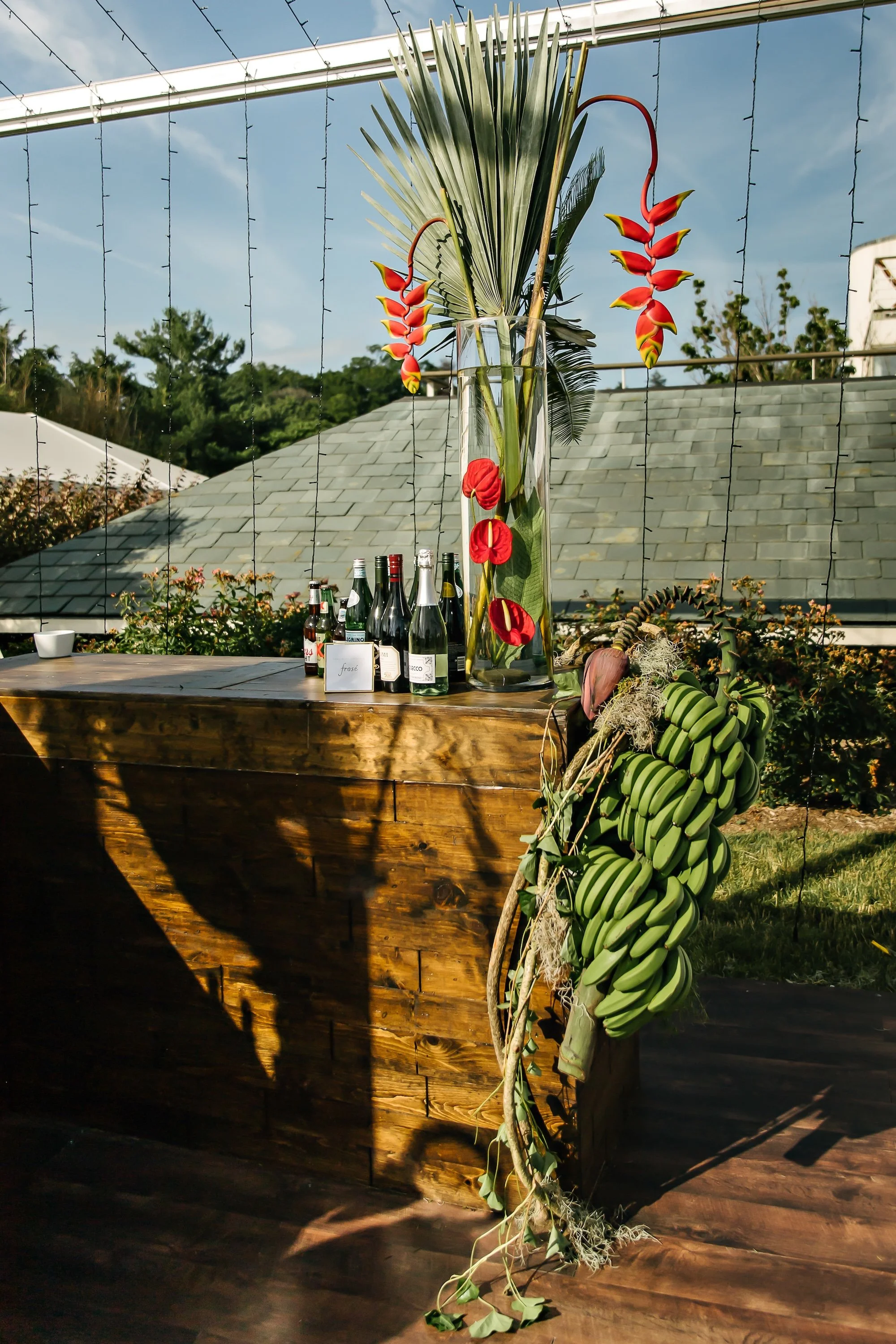 andersandasya_dearstaceyphoto0846.jpg