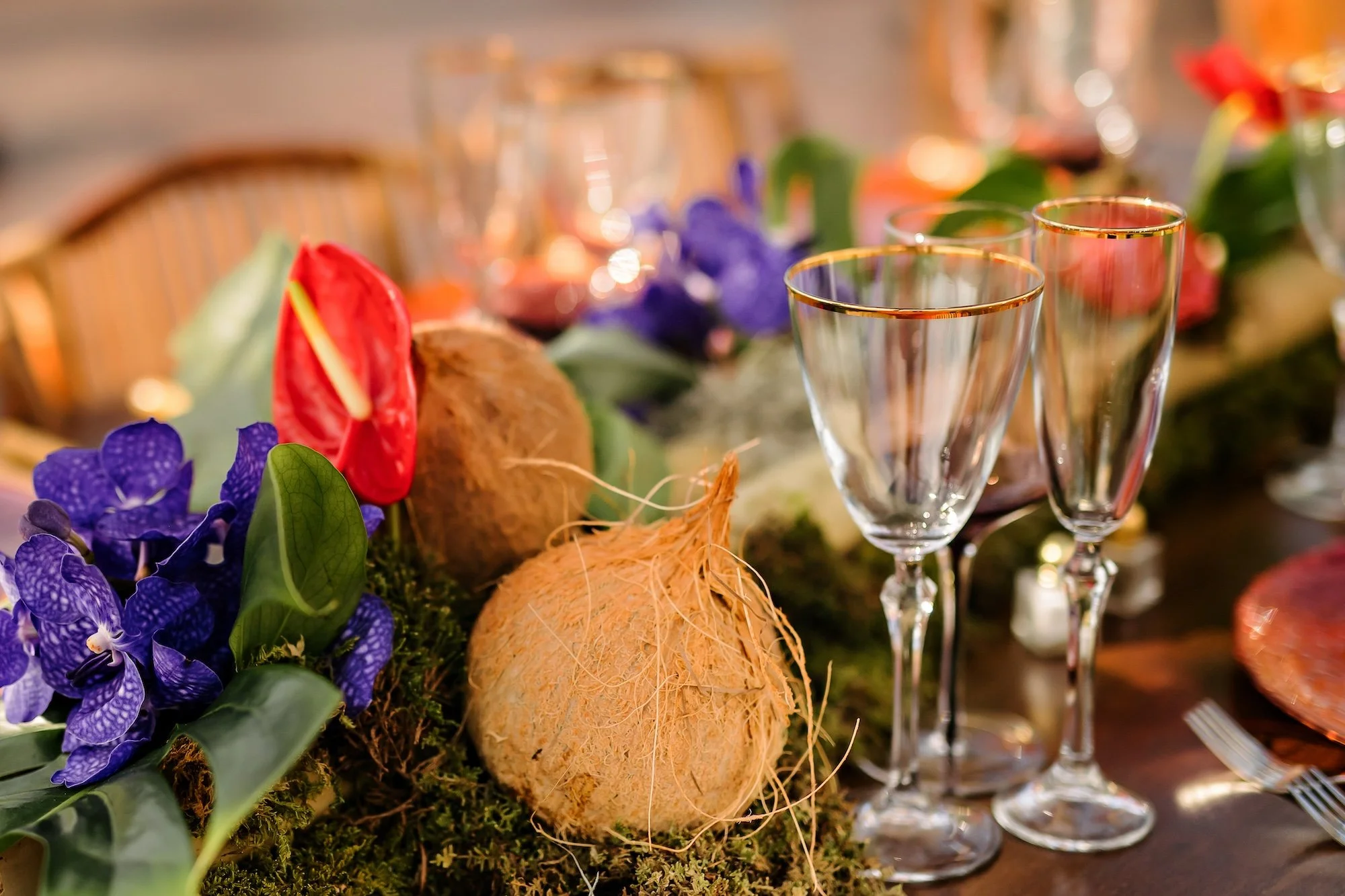 andersandasya_dearstaceyphoto0914.jpg