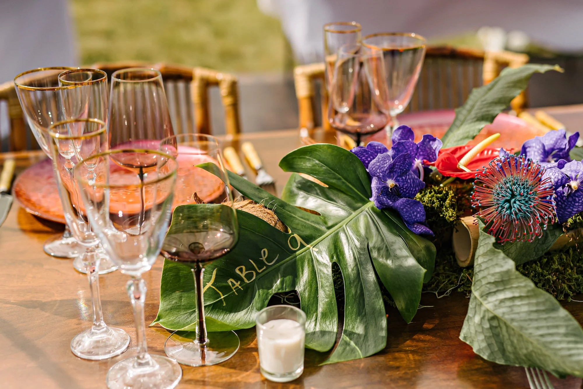 andersandasya_dearstaceyphoto0819.jpg