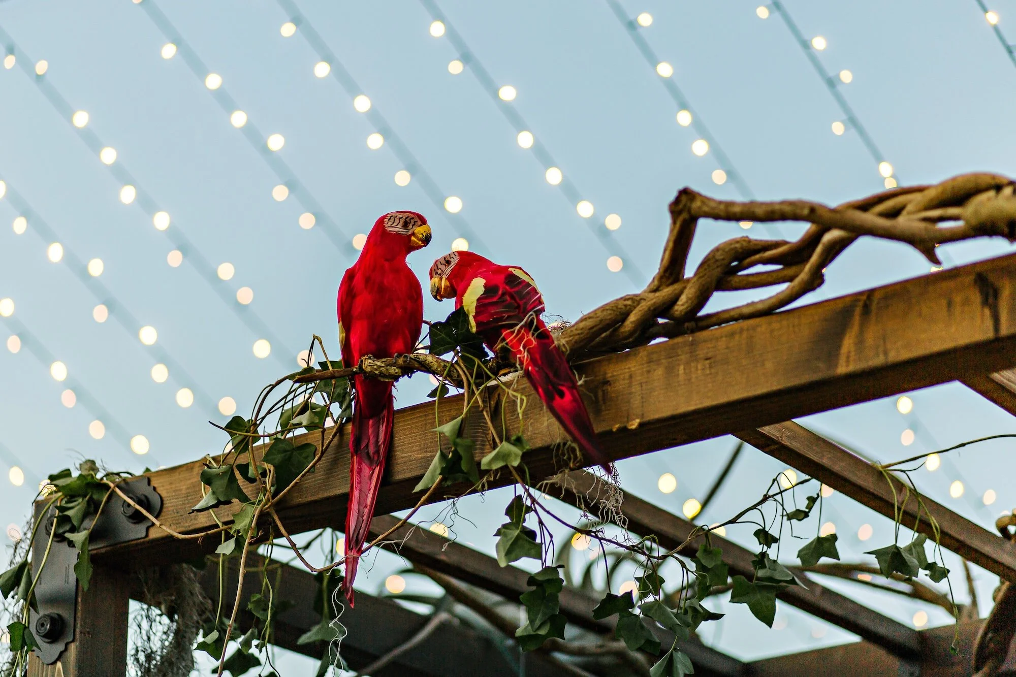 andersandasya_dearstaceyphoto0826 (1).jpg