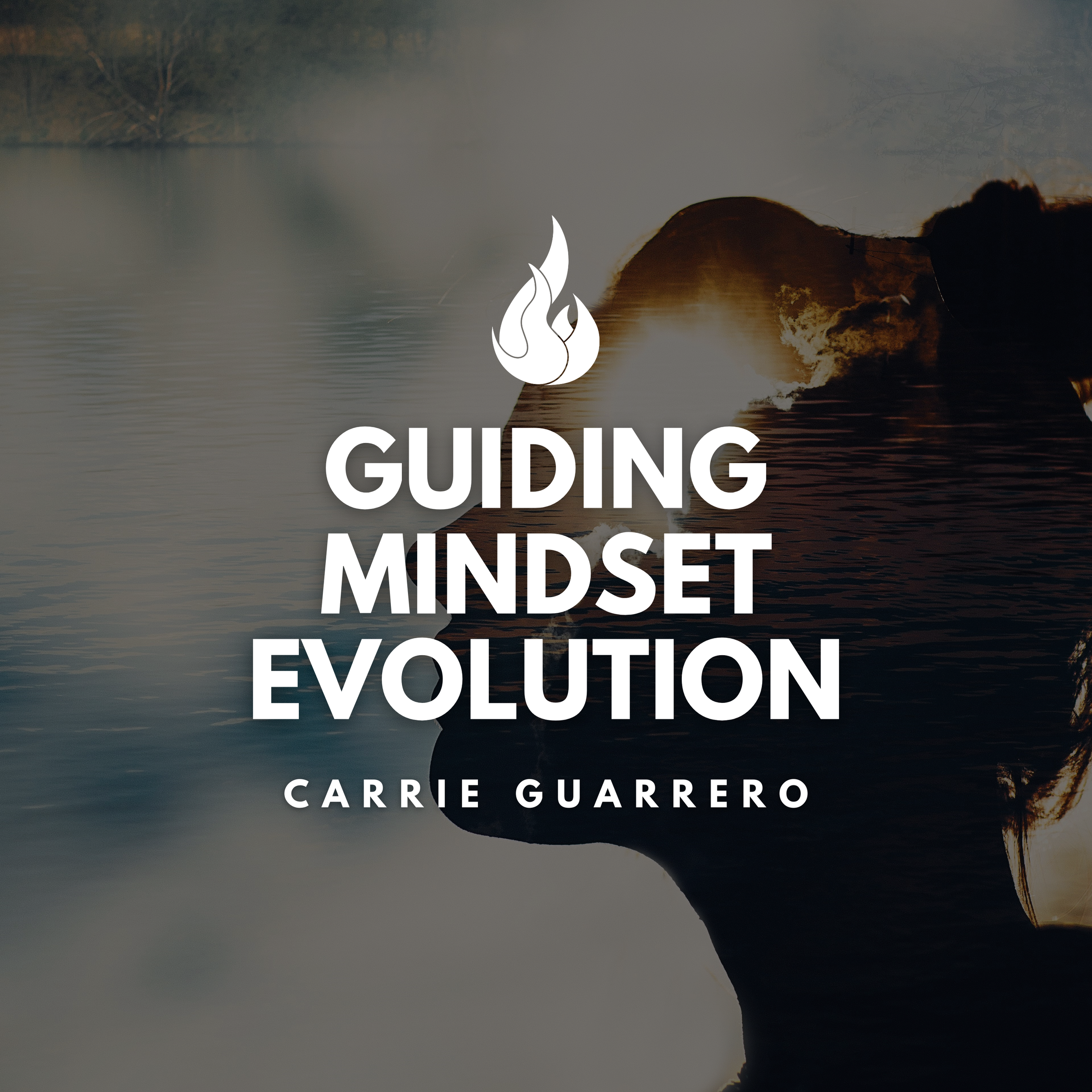 The Thinking - Action - Results Paradigm