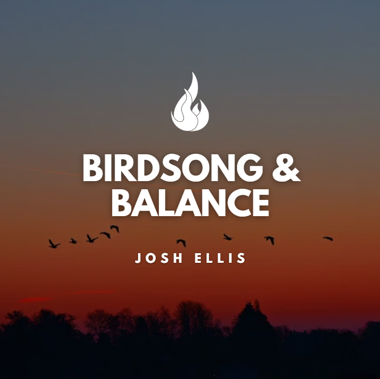 The Importance of an Oxygen Mask