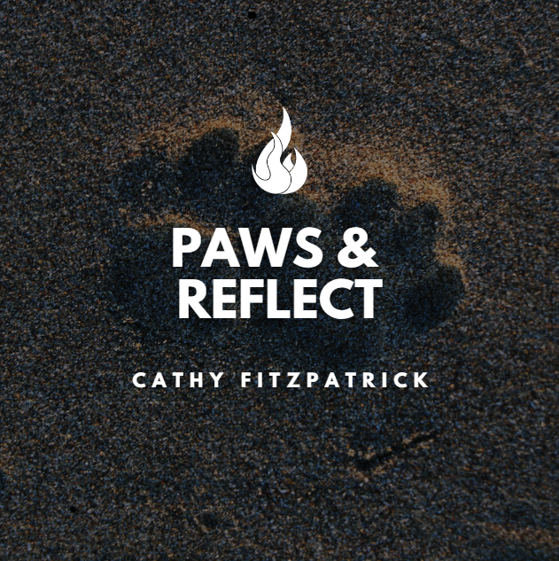 PUPPIES, PRESENCE &amp; PERSPECTIVE