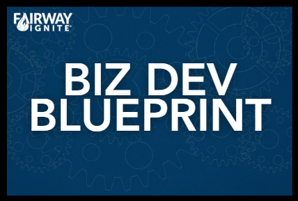Biz Dev Blueprint