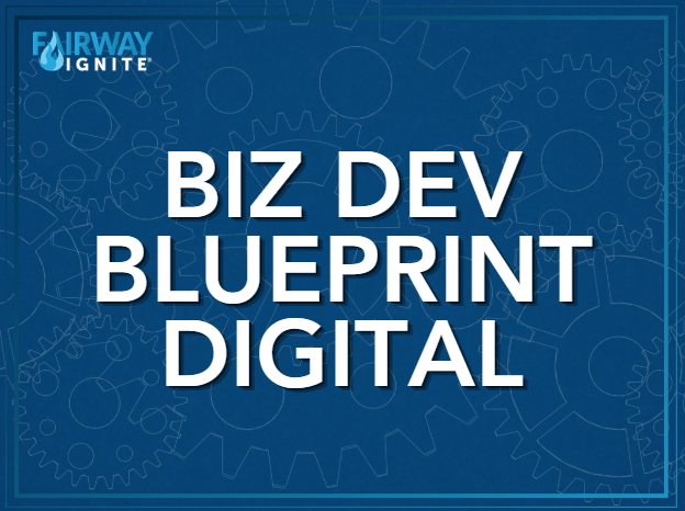 Biz Dev Blueprint - Digital